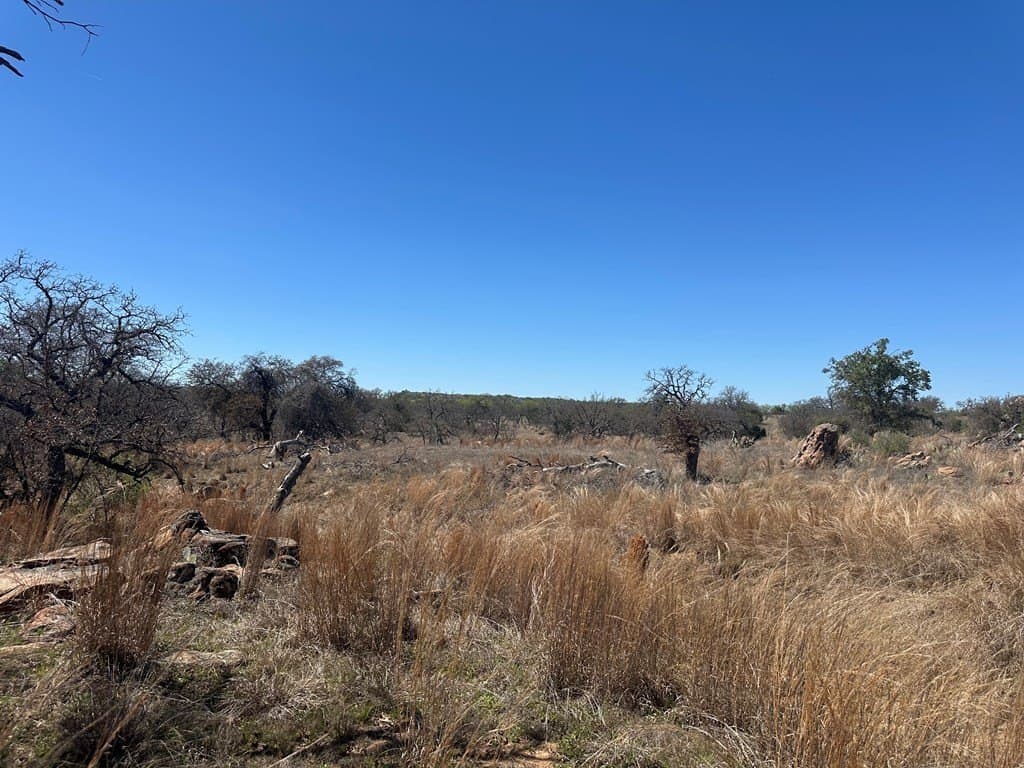62 acres in Mason County gallery image 3