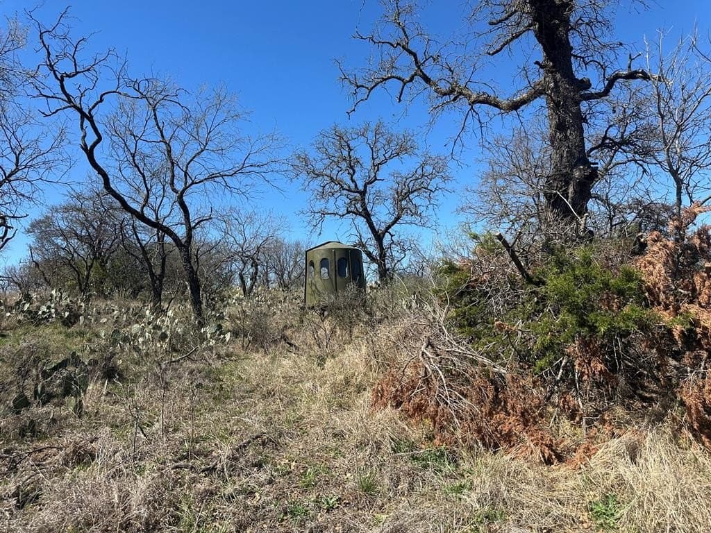 62 acres in Mason County