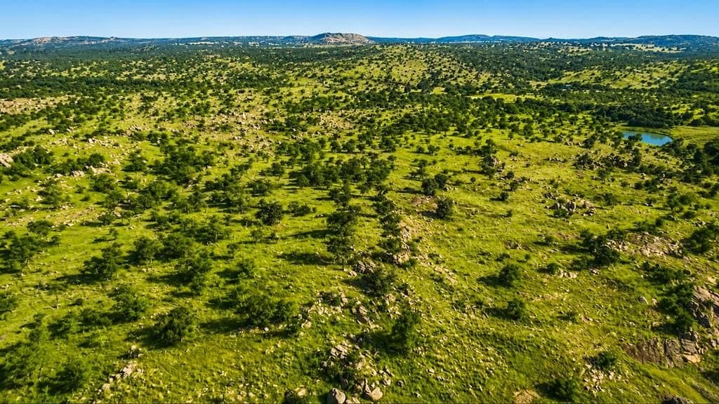62 acres in Mason County - photo 6