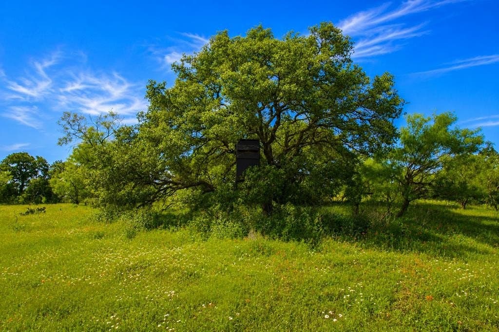 62 acres in Mason County featured view