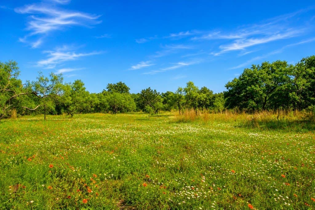 62 acres in Mason County - photo 21