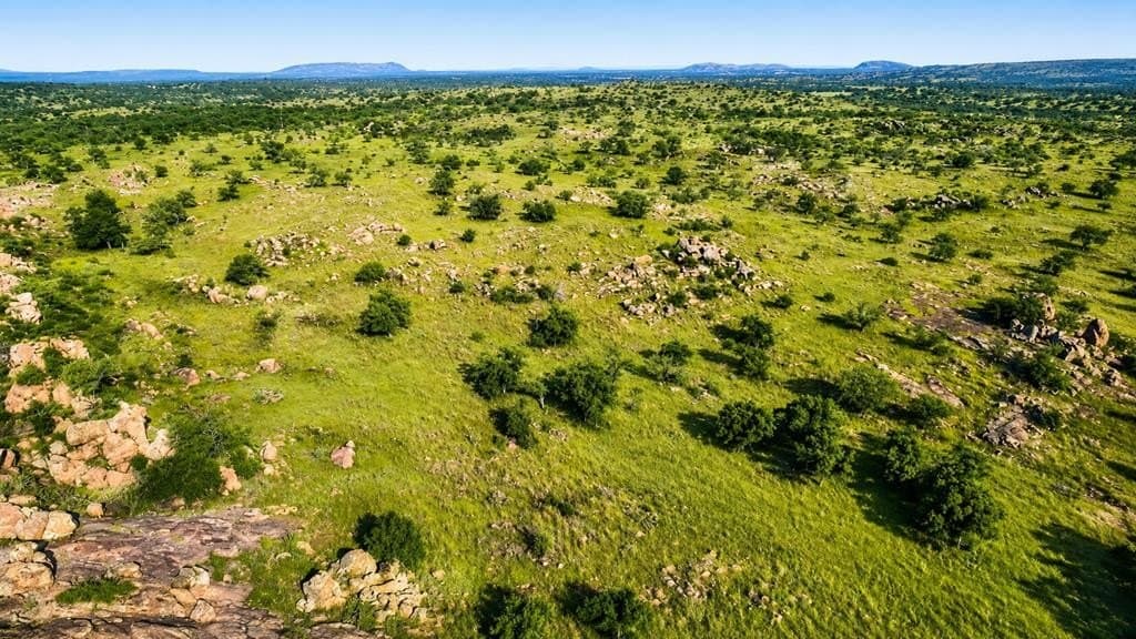 62 acres in Mason County - photo 10