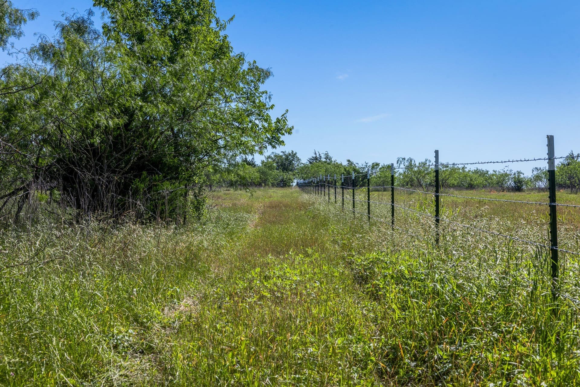 10 acres in Limestone County - photo 17