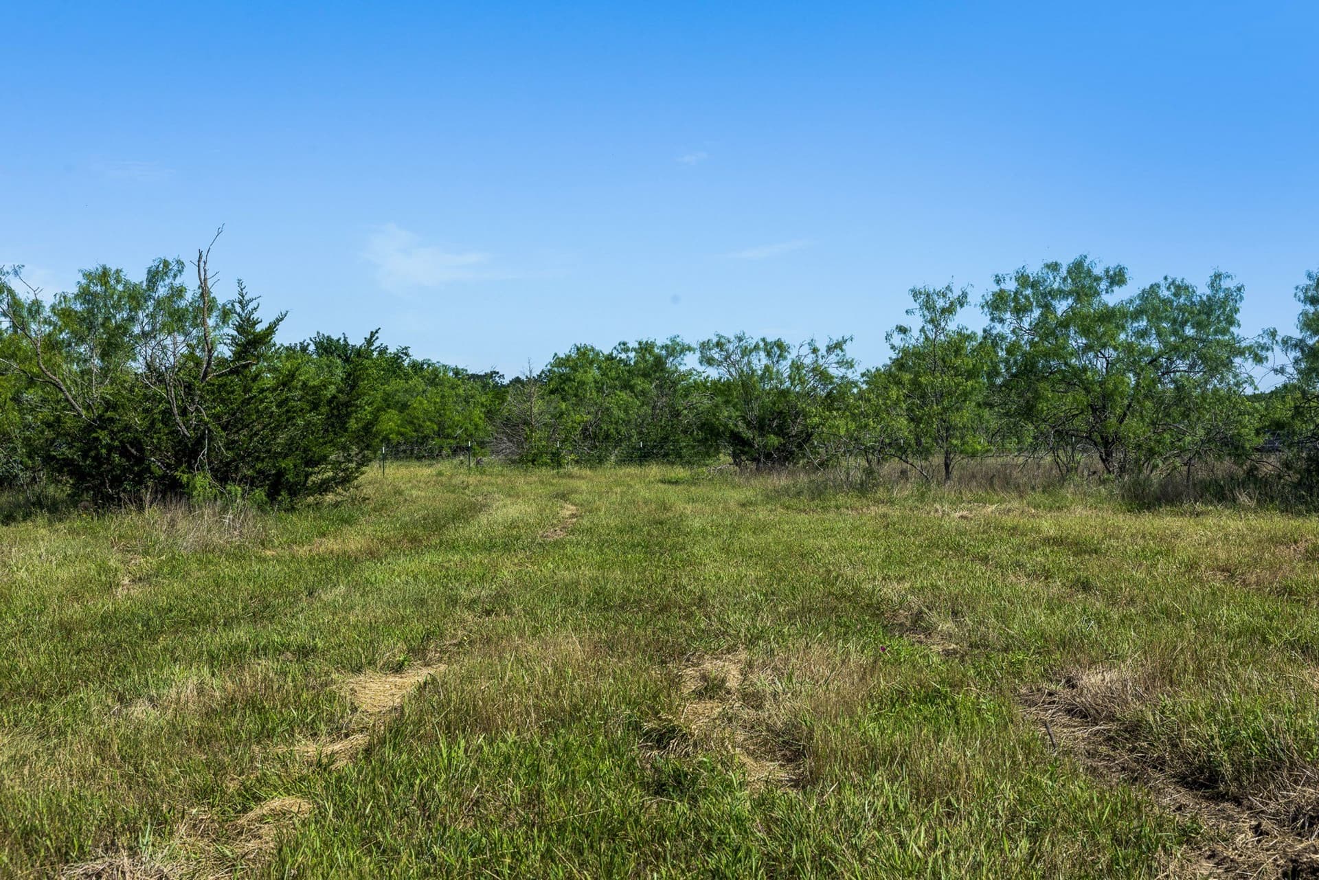 10 acres in Limestone County - photo 12