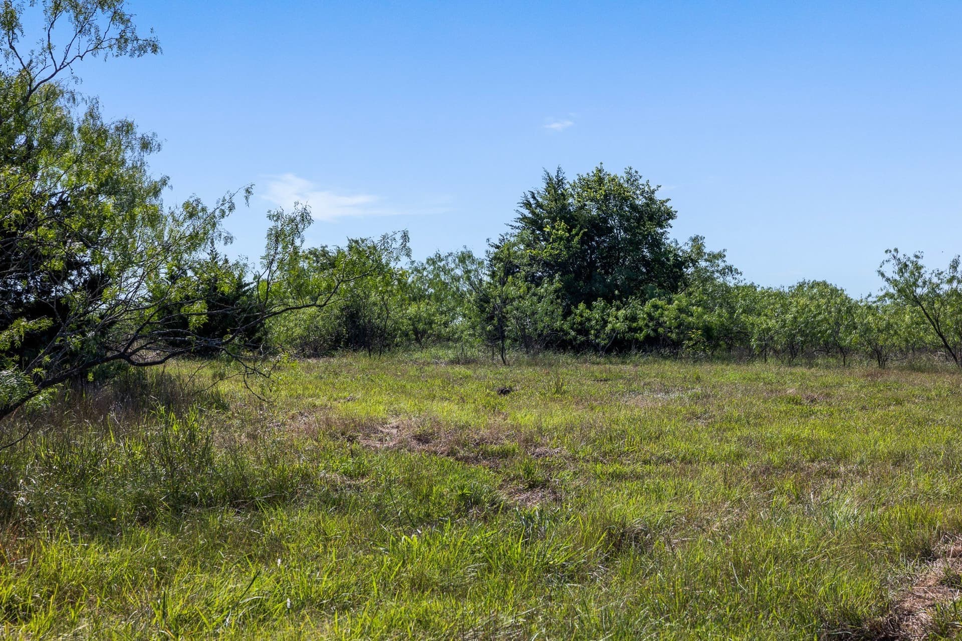 10 acres in Limestone County - photo 11