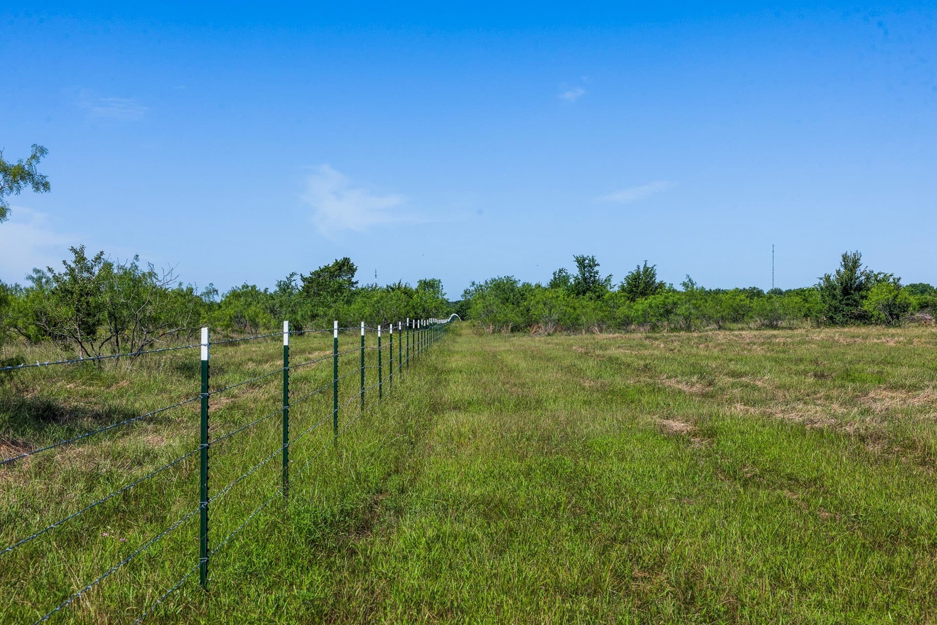 10 acres in Limestone County - photo 15