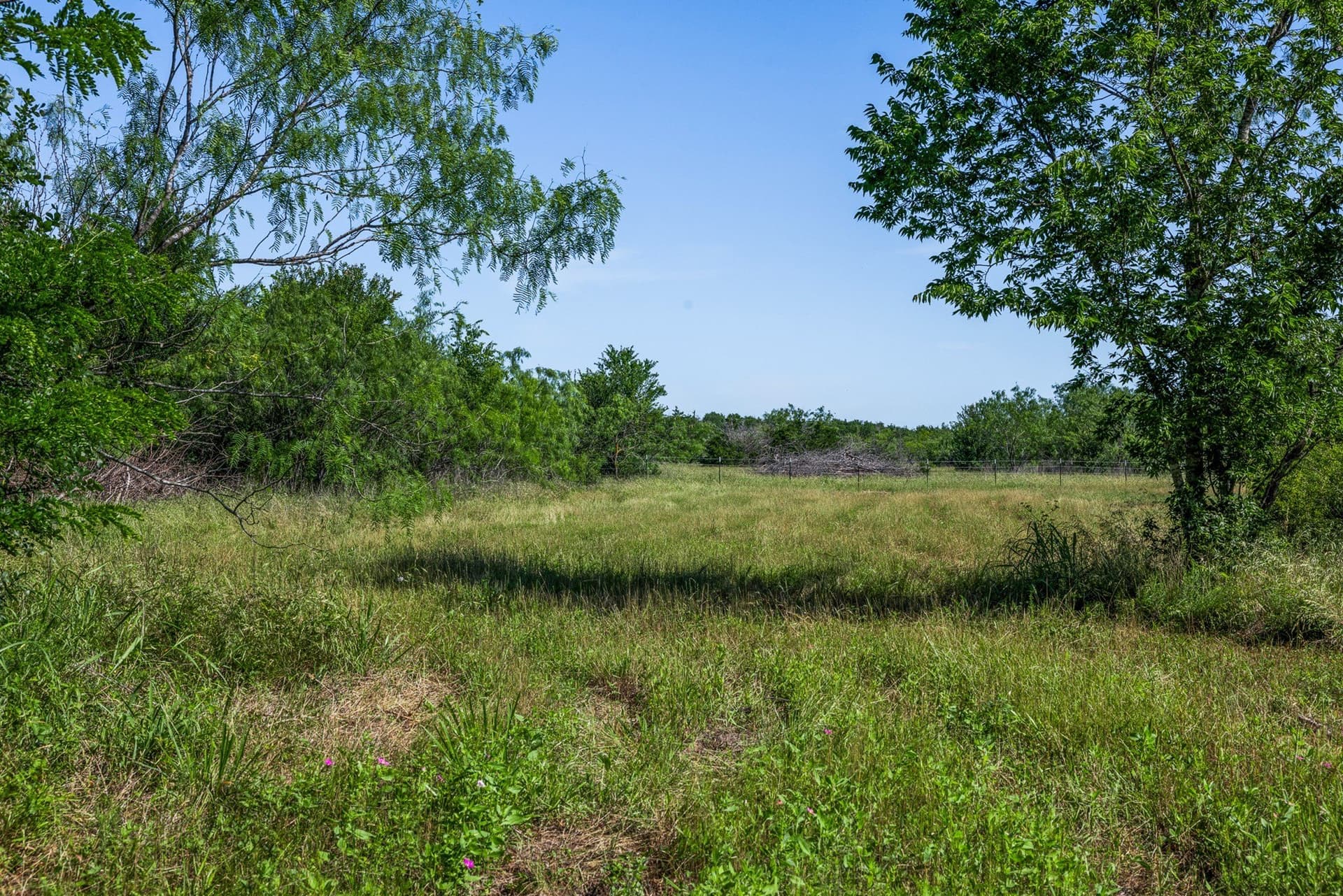 10 acres in Limestone County - photo 14
