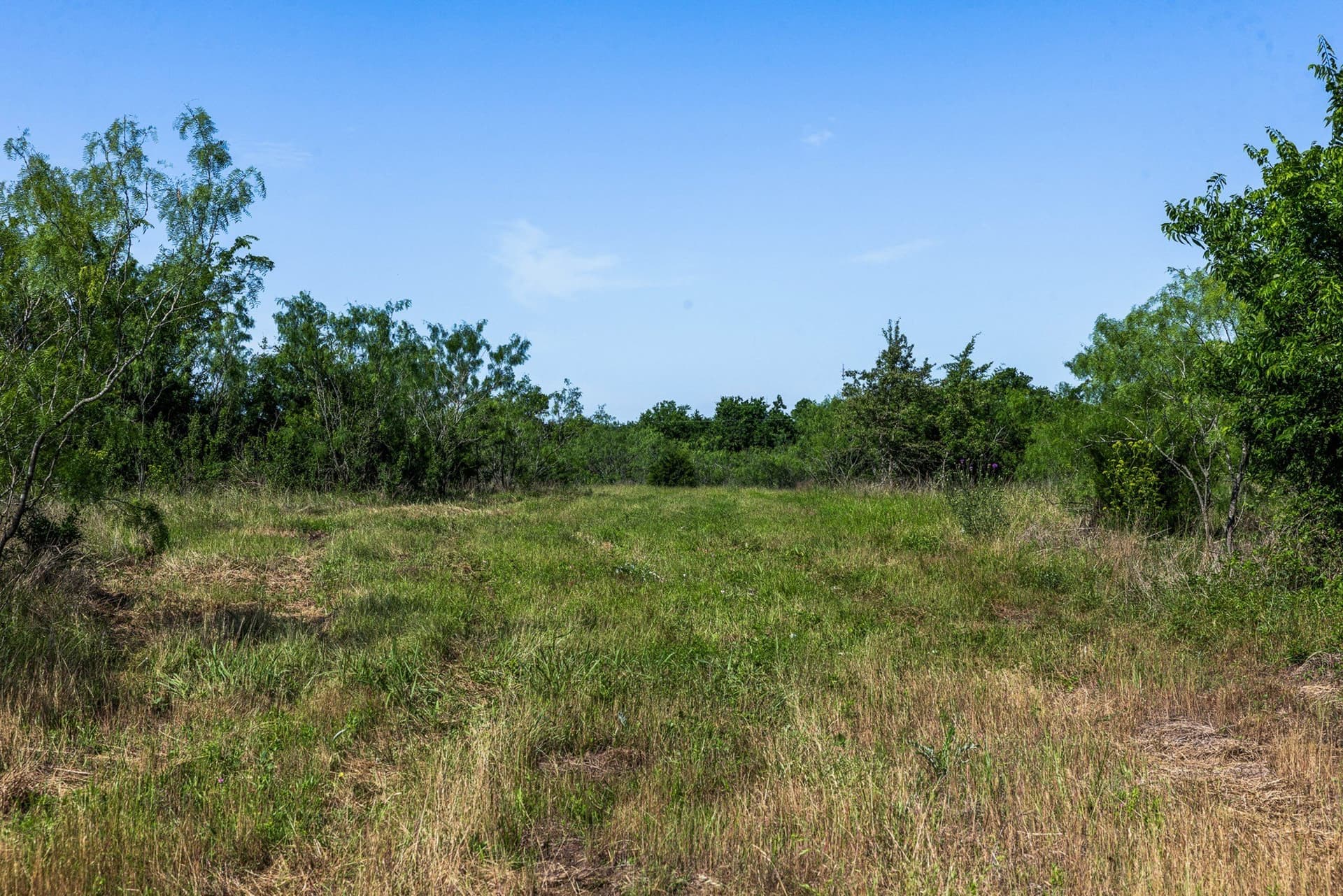 10 acres in Limestone County - photo 10