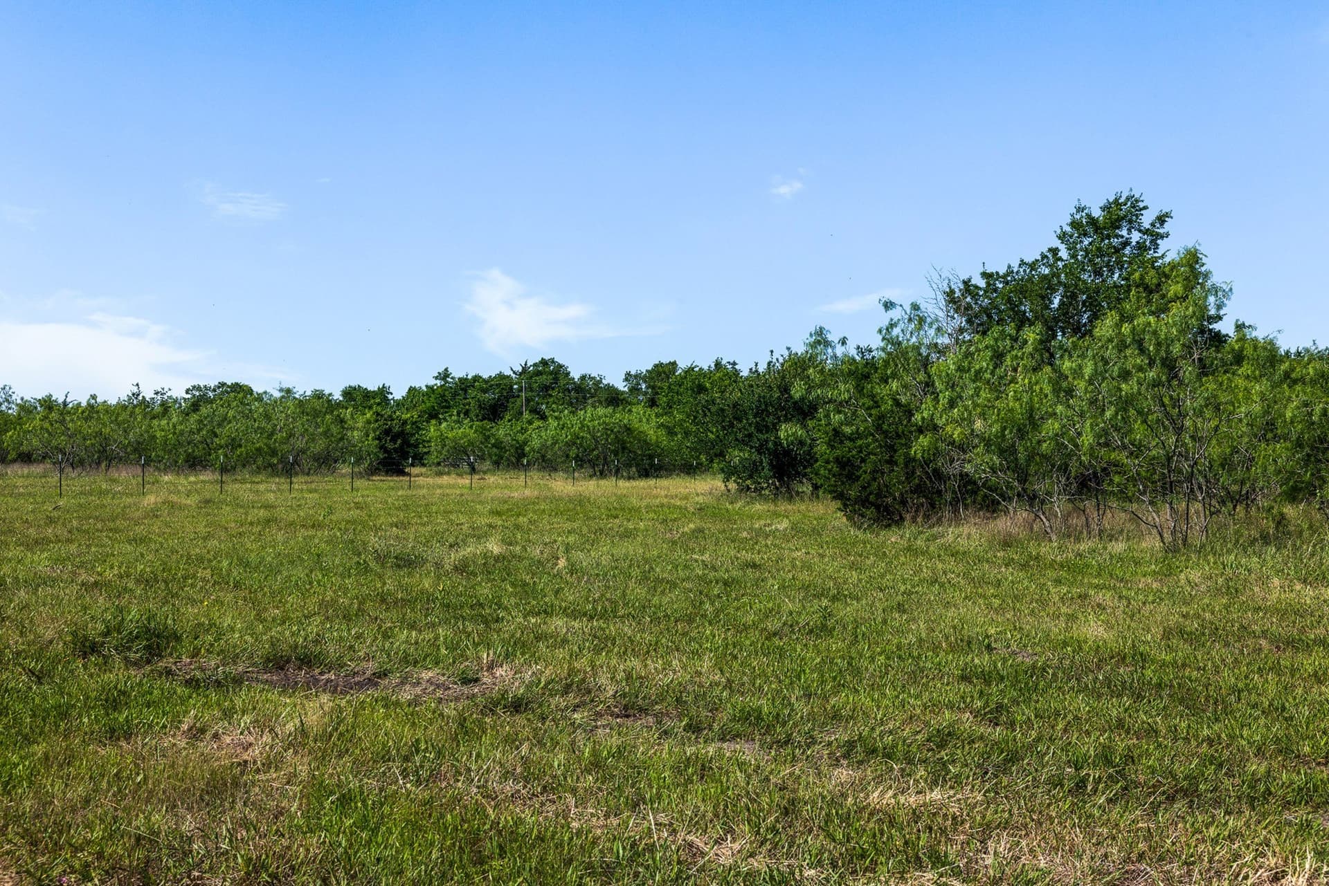 10 acres in Limestone County - photo 16