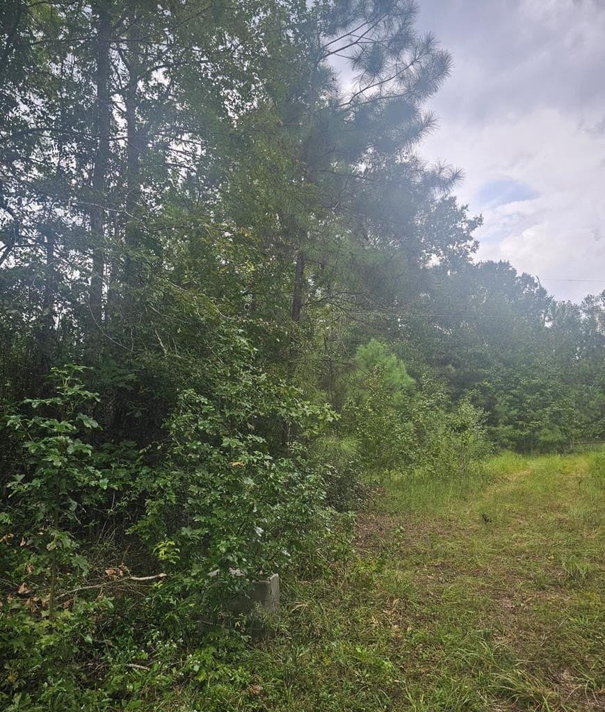 2 acres in Texas County - photo 8