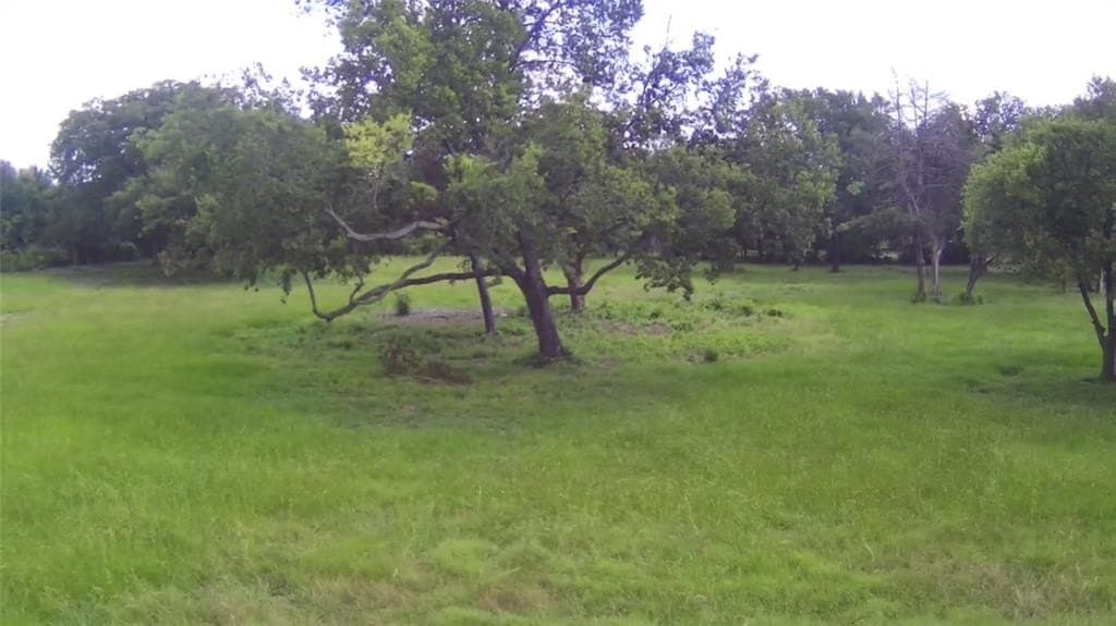 0.5 acres in Dallas County gallery image 3