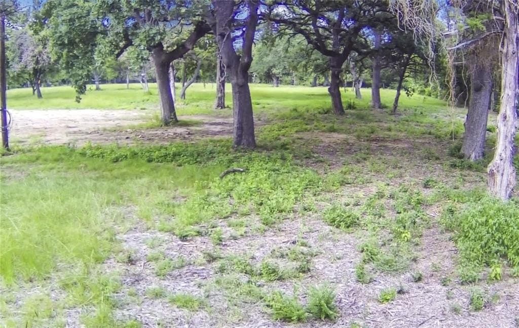 0.5 acres in Dallas County gallery image 2