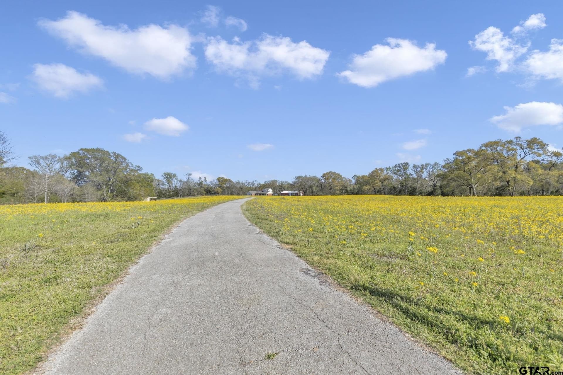 45.48 acres in Smith County - photo 9