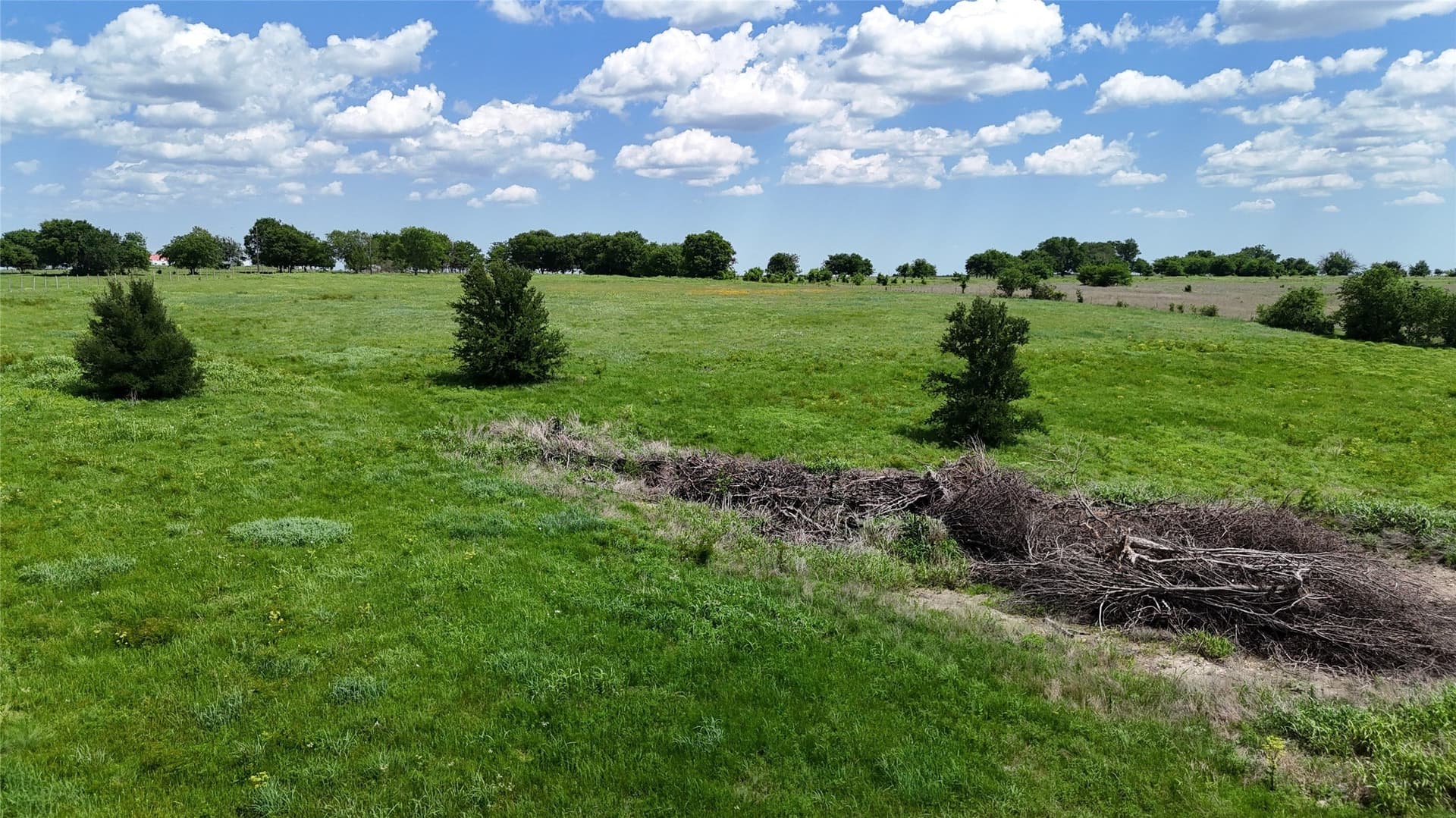 10.01 acres in Cooke County - photo 9