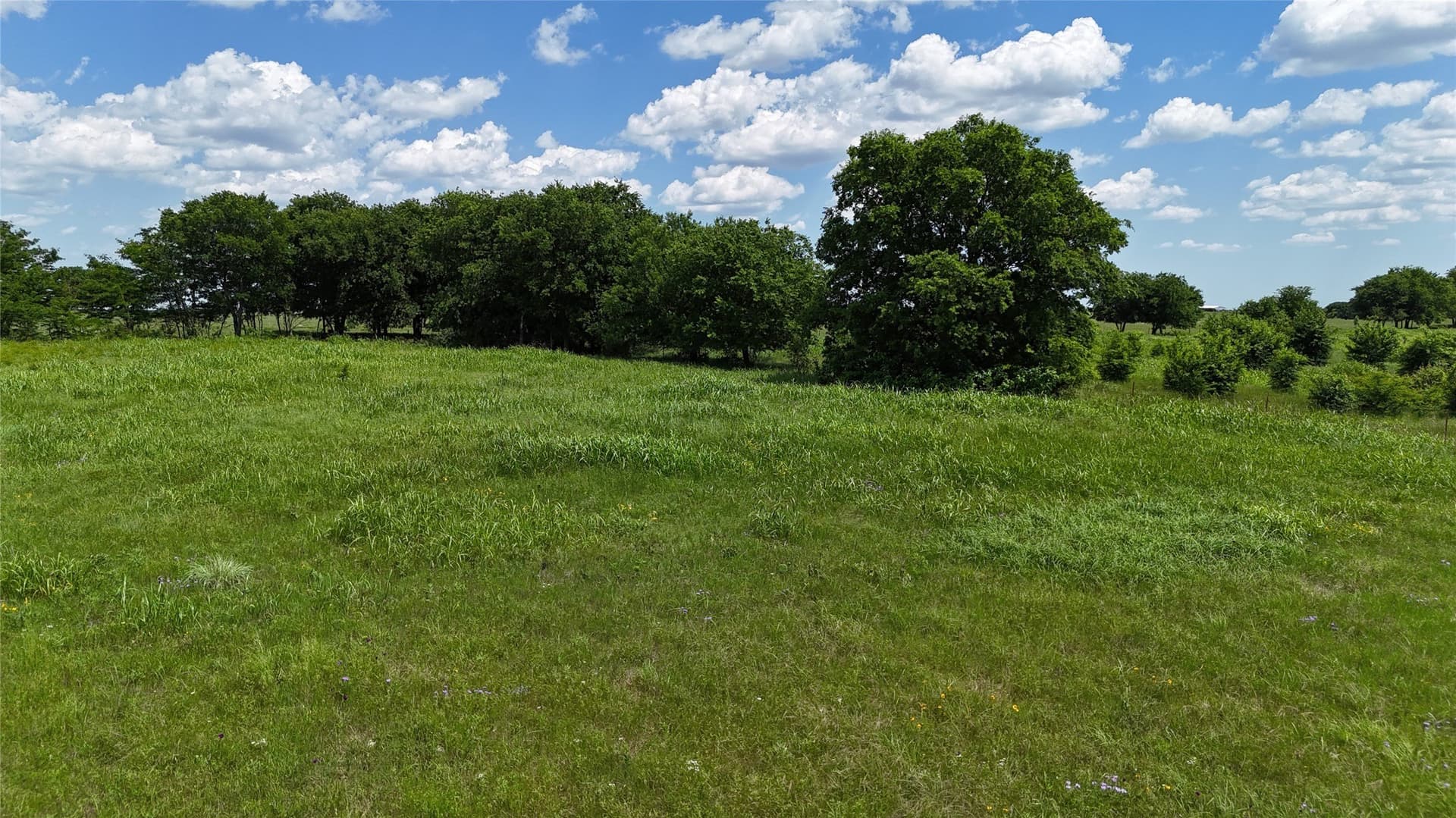 10.01 acres in Cooke County - photo 14