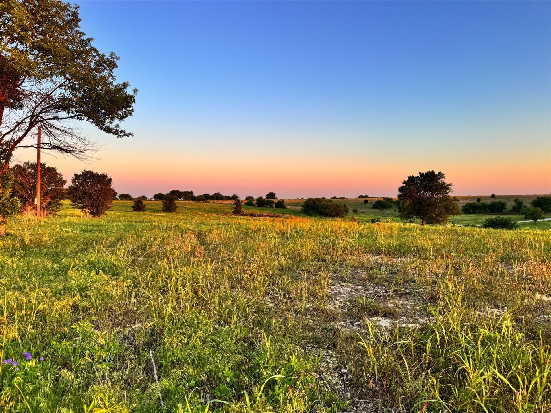 10.01 acres in Cooke County gallery image 4