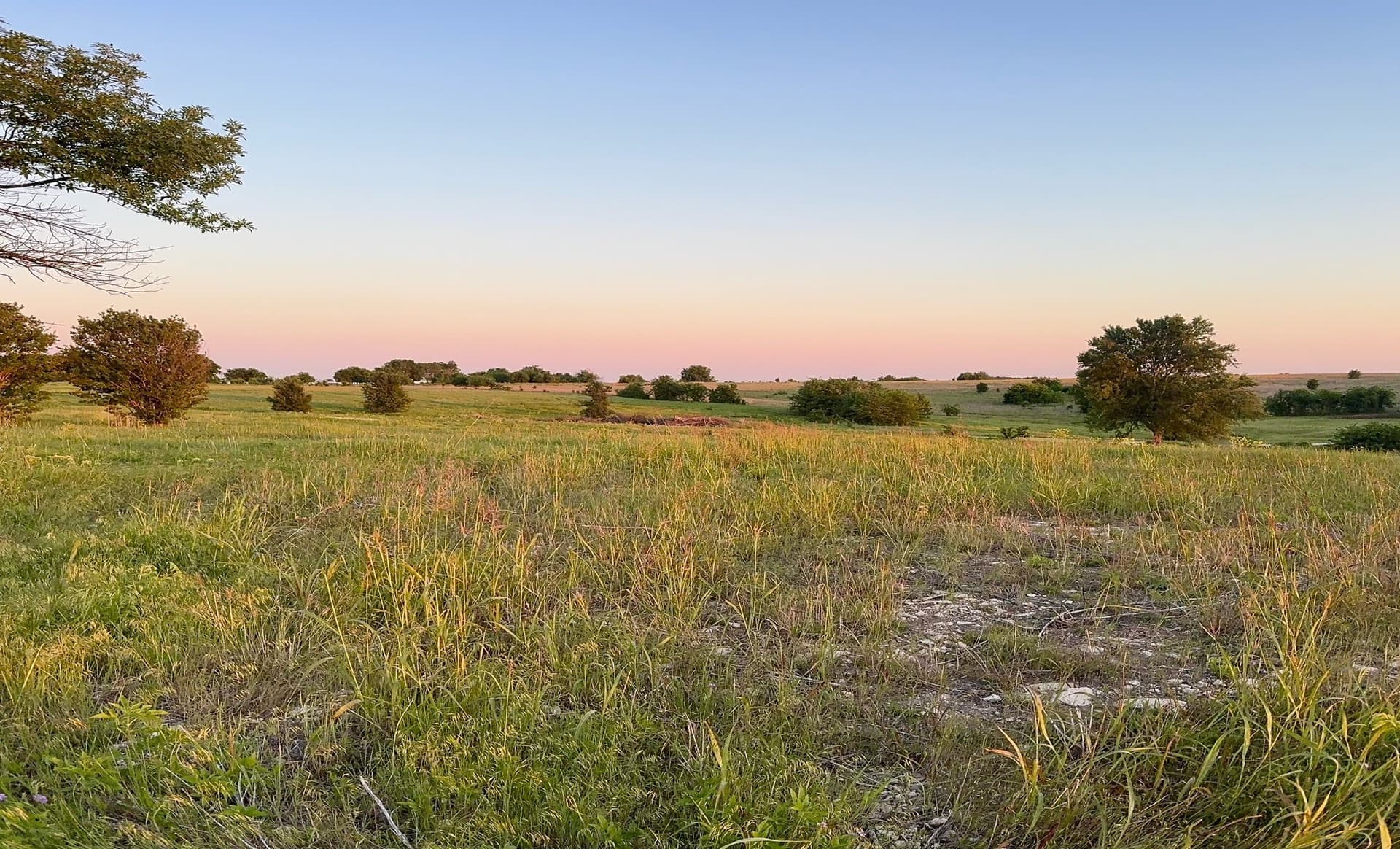 10.01 acres in Cooke County - photo 18