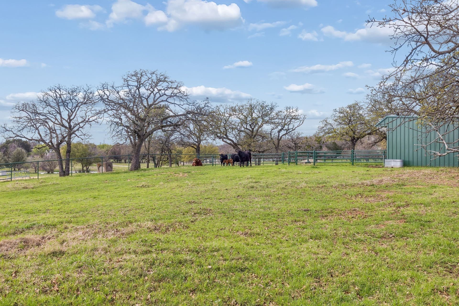 42.75 acres in Tarrant County - photo 14