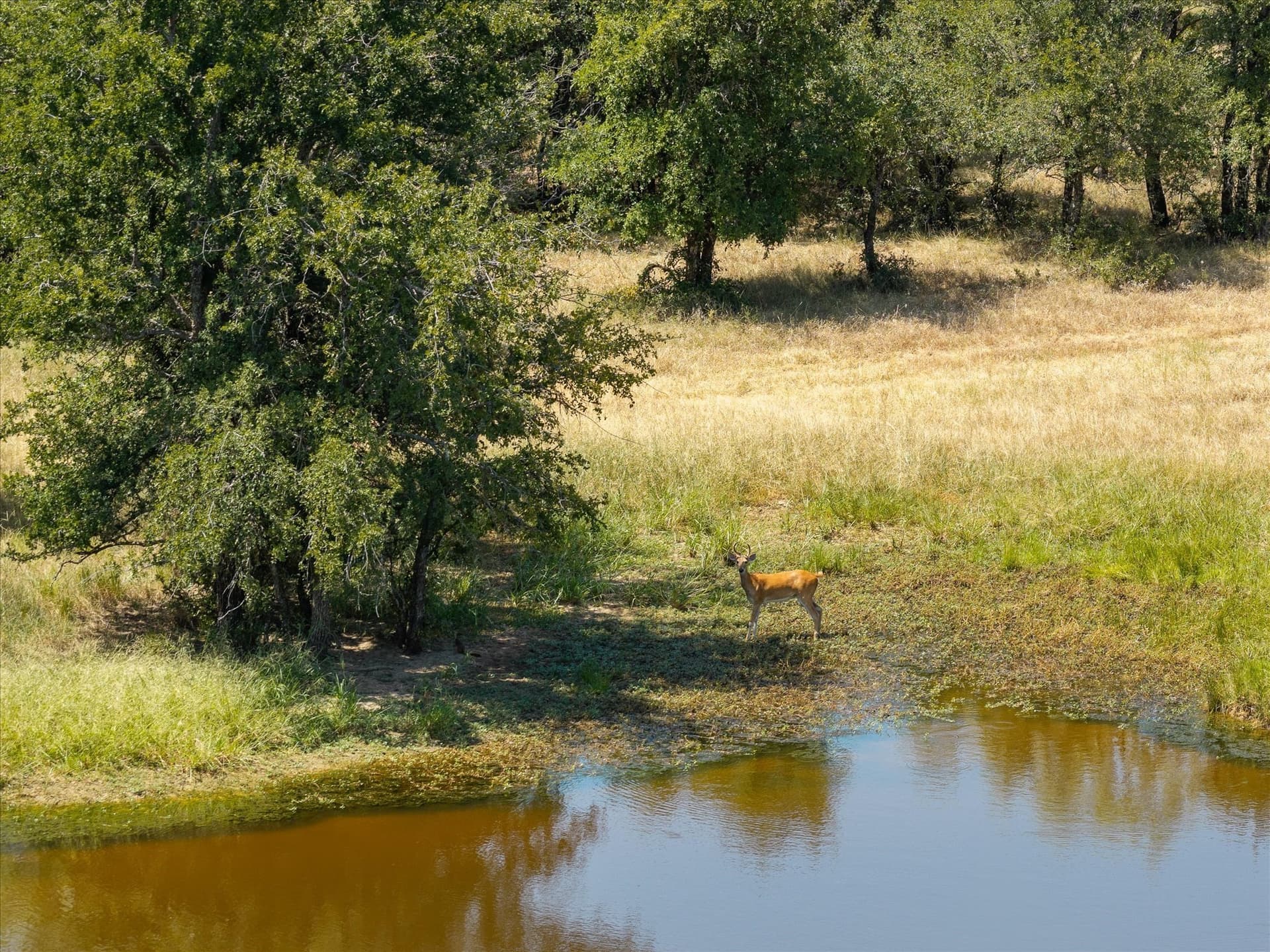 58.22 acres in Erath County - photo 12