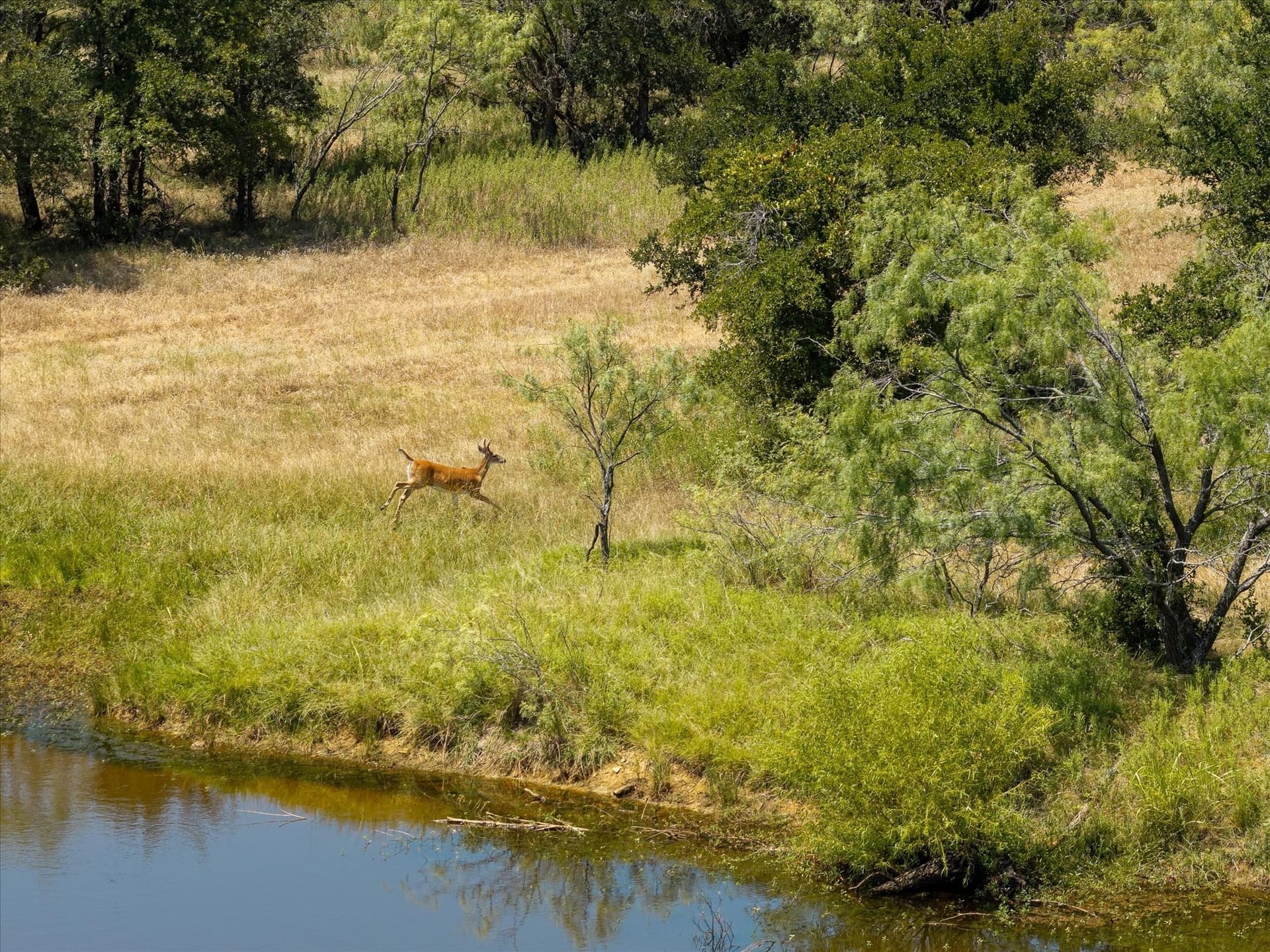 58.22 acres in Erath County - photo 13
