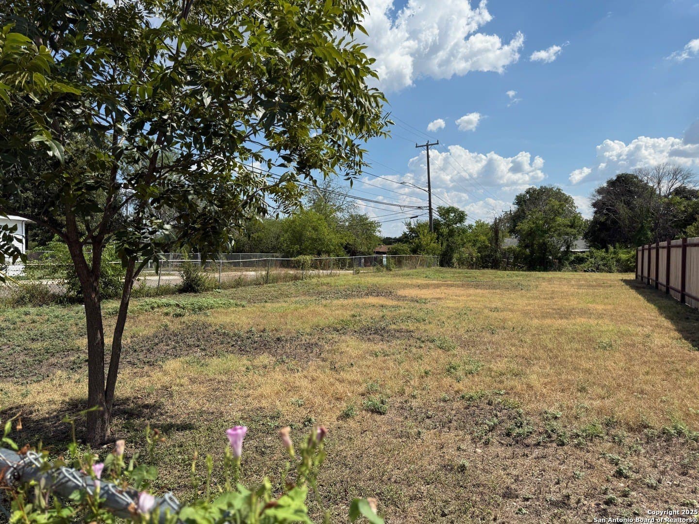 0.11 acres in Bexar County gallery image 2