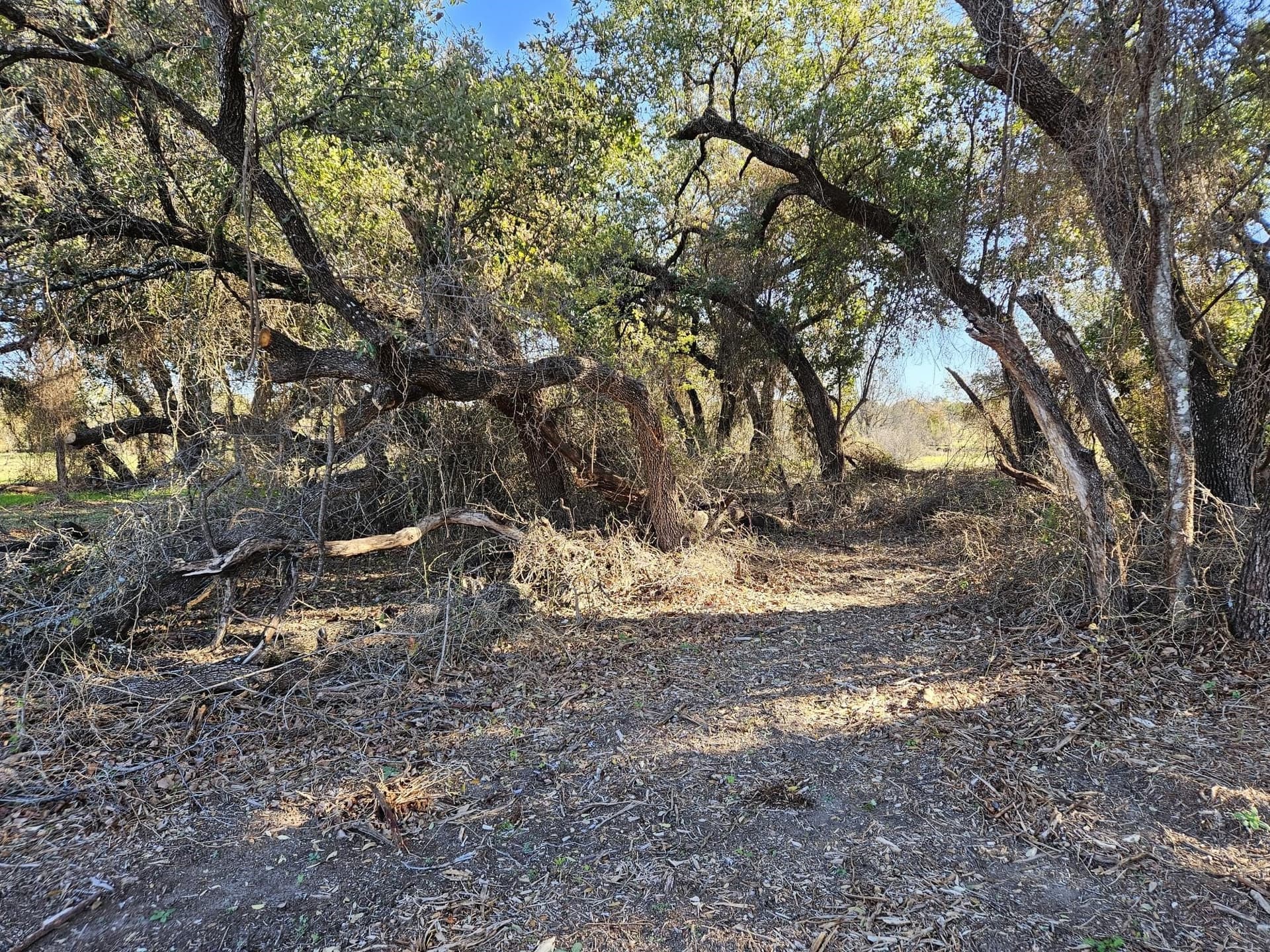 3.5 acres in Hood County - photo 12