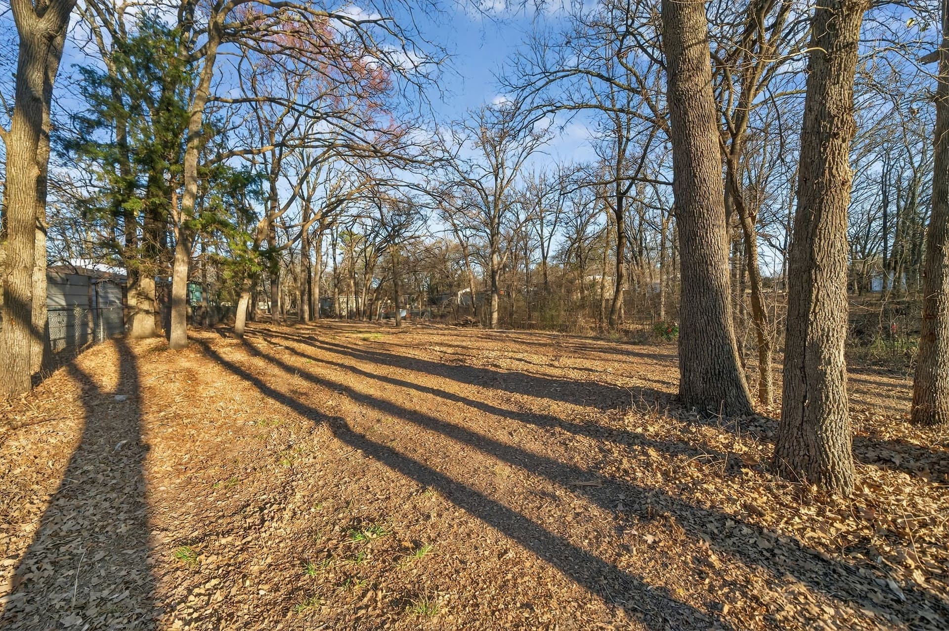 0.18 acres in Rains County - photo 7