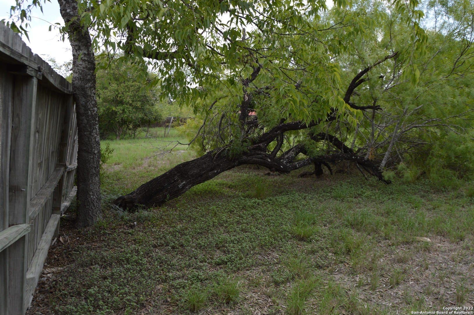 0.58 acres in Comal County - photo 17