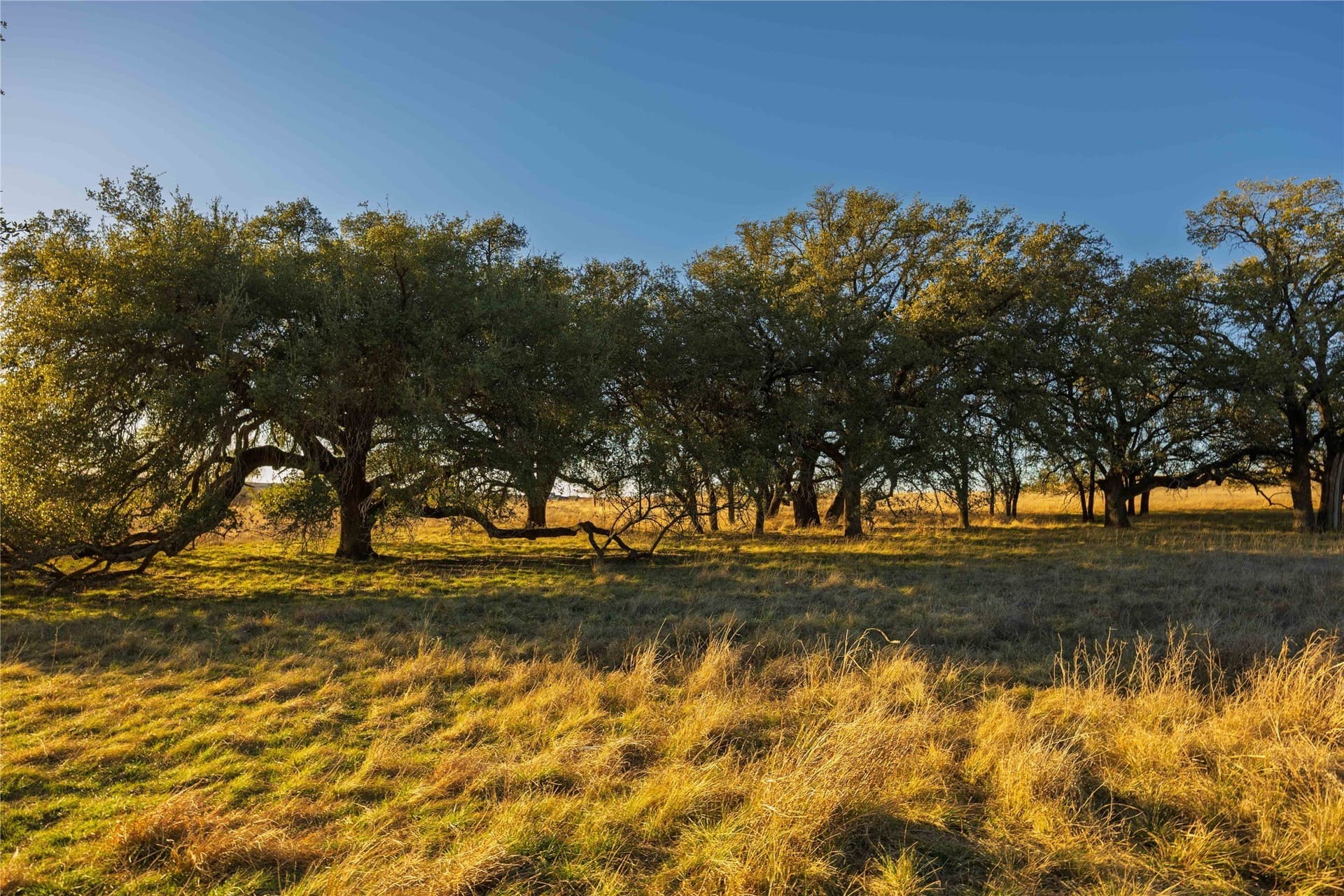 8.1 acres in Comanche County - photo 9
