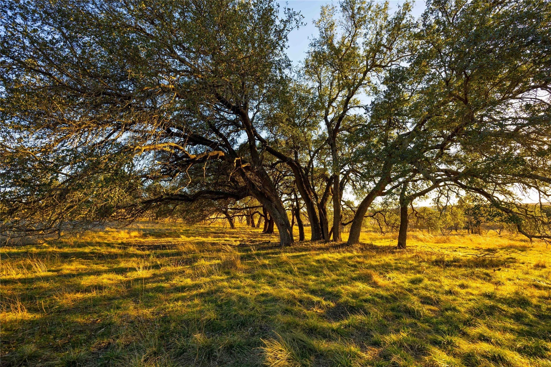 8.1 acres in Comanche County - photo 8