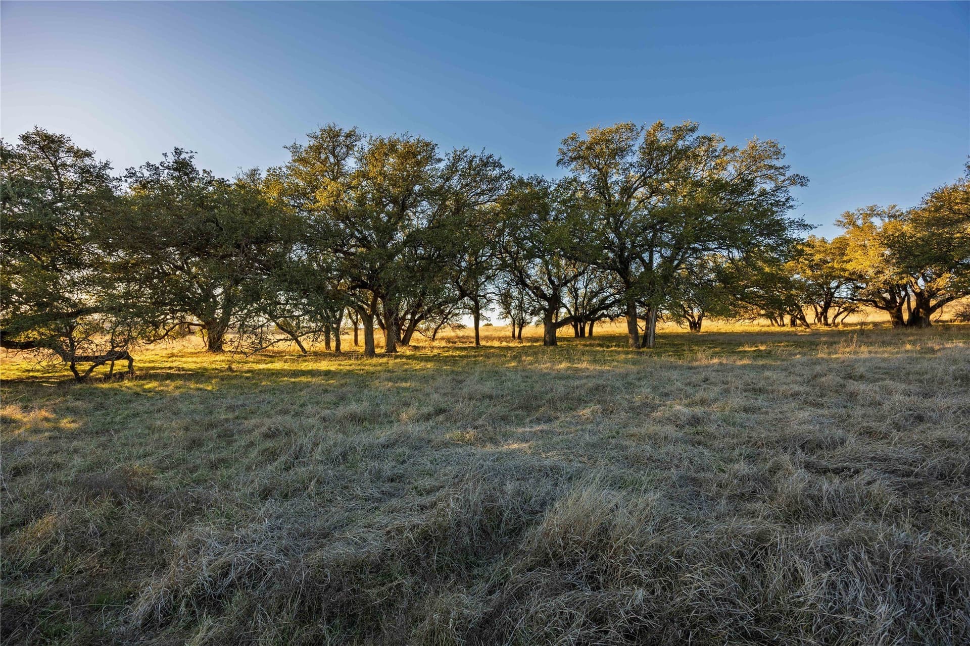 8.1 acres in Comanche County - photo 10