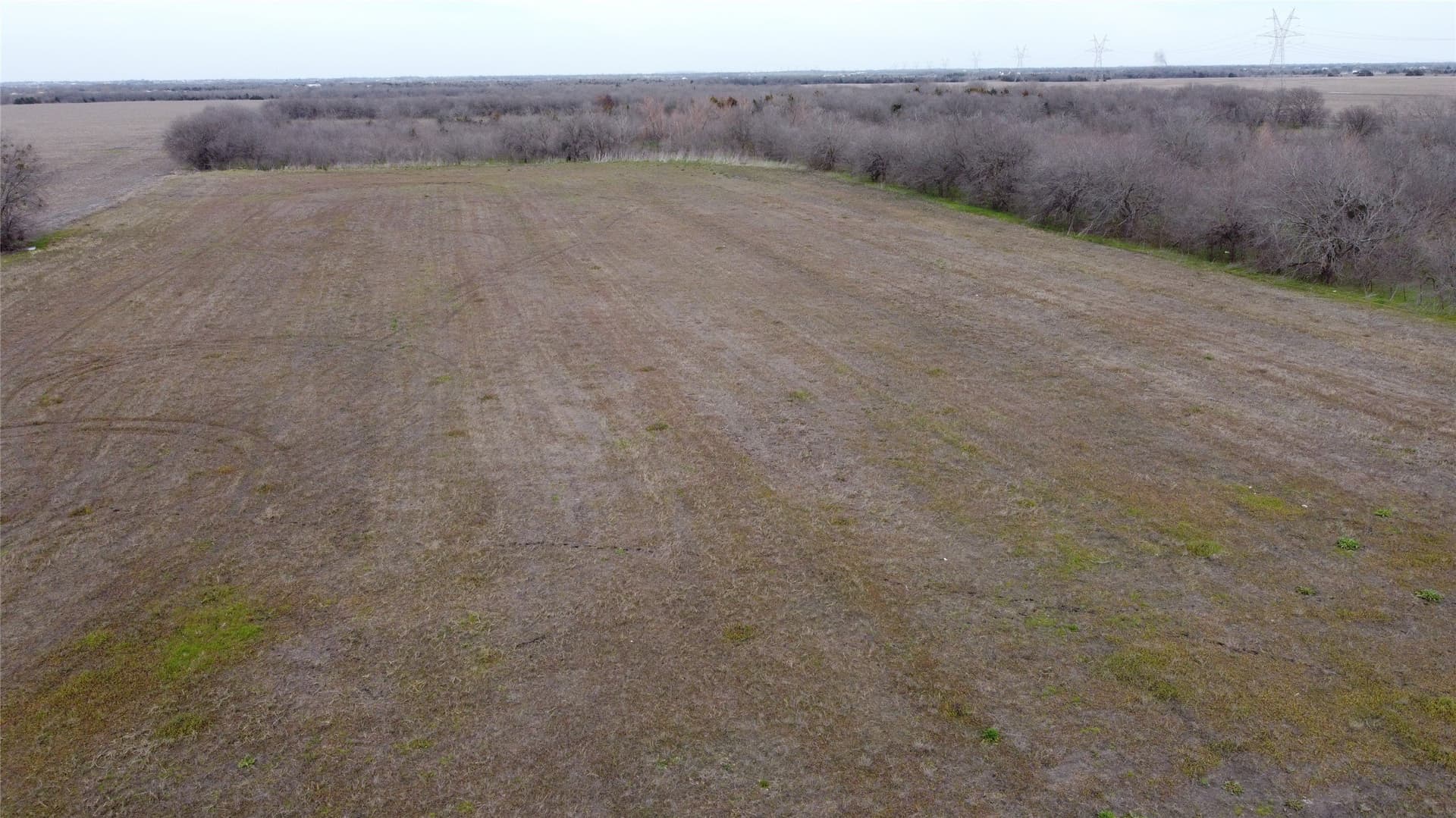 21.96 acres in Ellis County gallery image 4