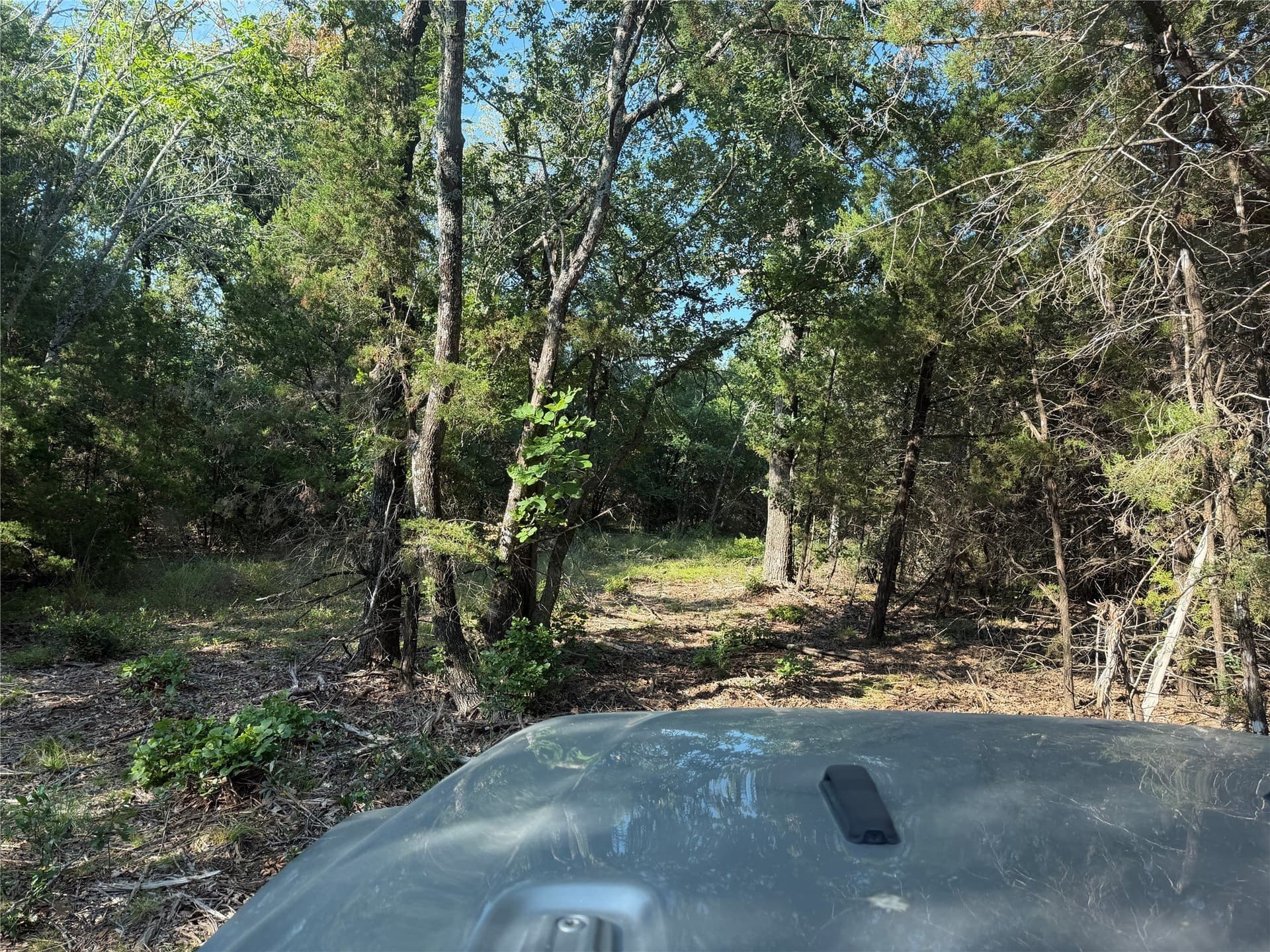 10.09 acres in Bosque County - photo 24
