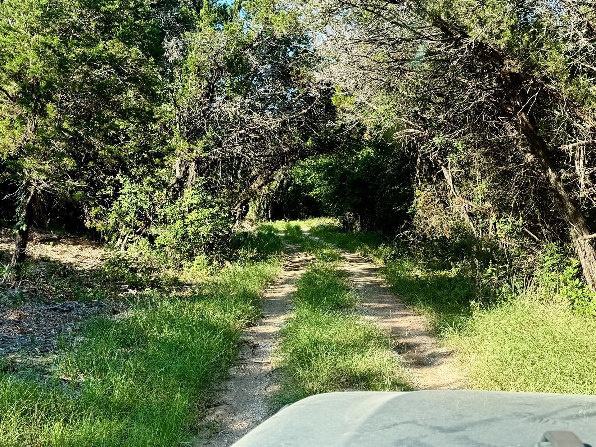 10.09 acres in Bosque County - photo 27