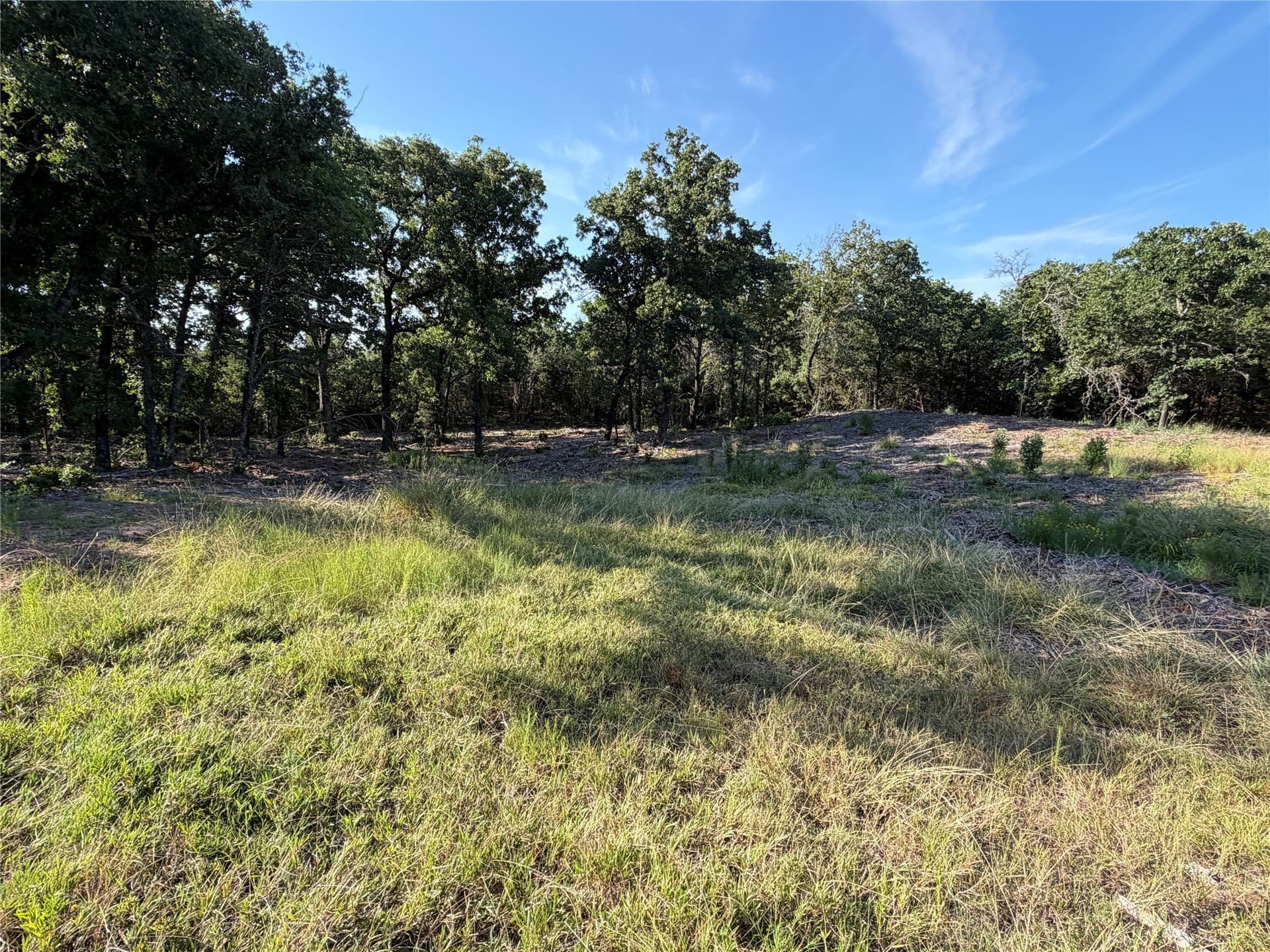 10.09 acres in Bosque County - photo 16
