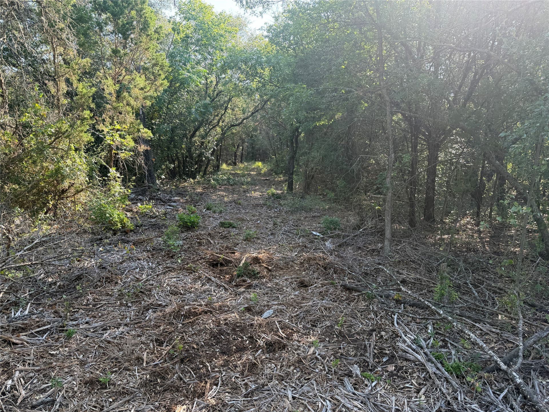 10.09 acres in Bosque County - photo 7