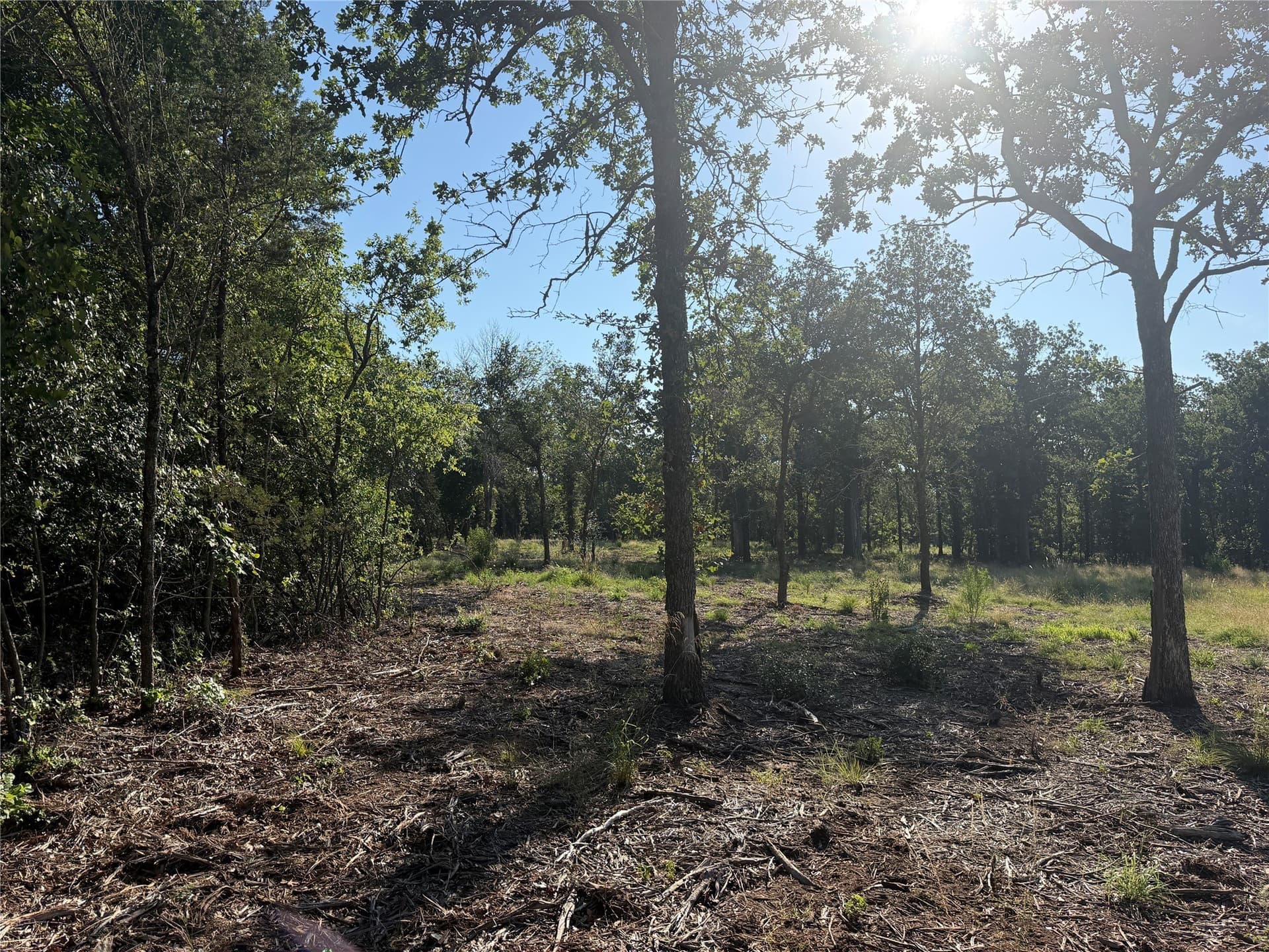 10.09 acres in Bosque County - photo 12