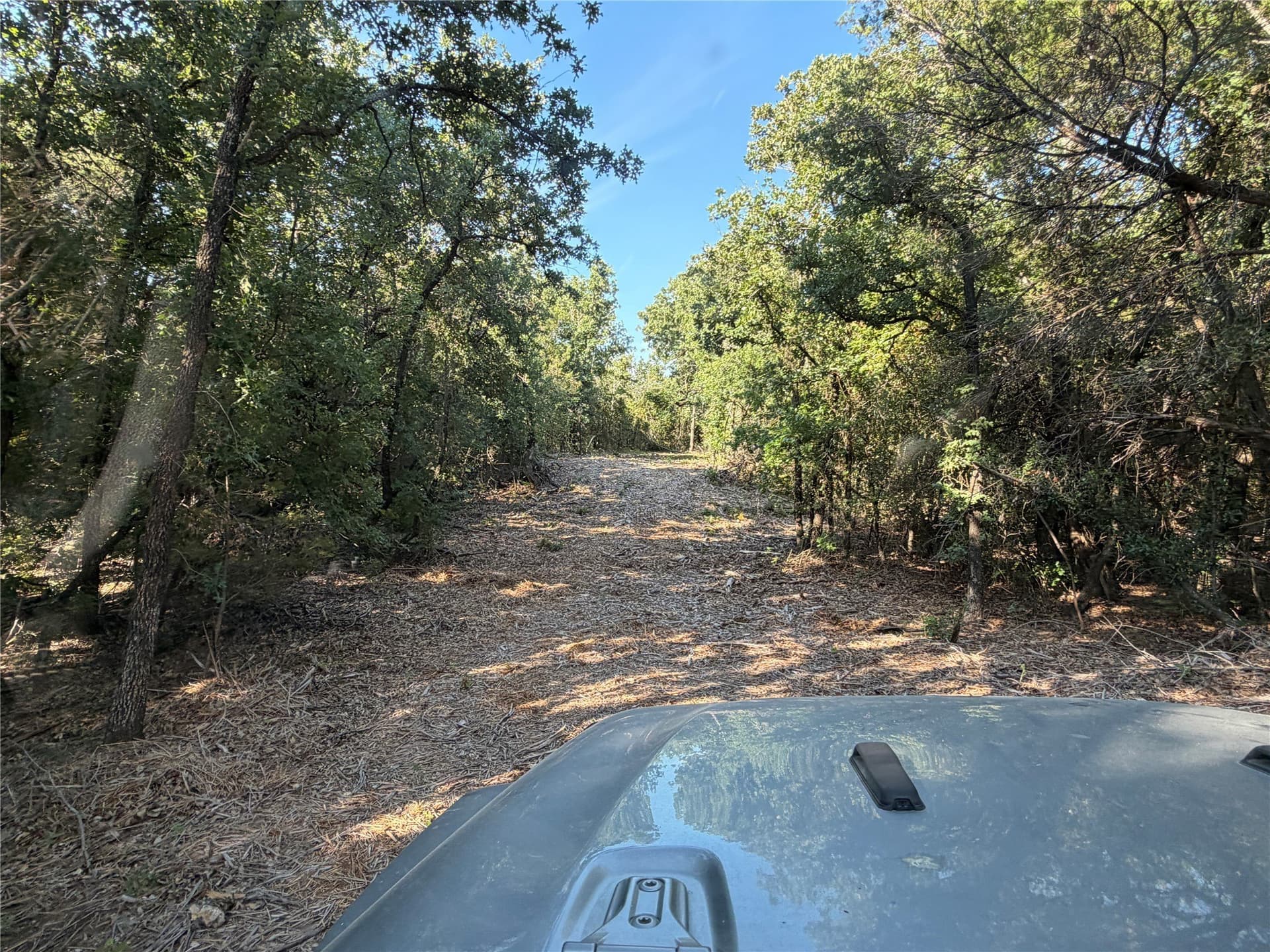 10.09 acres in Bosque County - photo 19