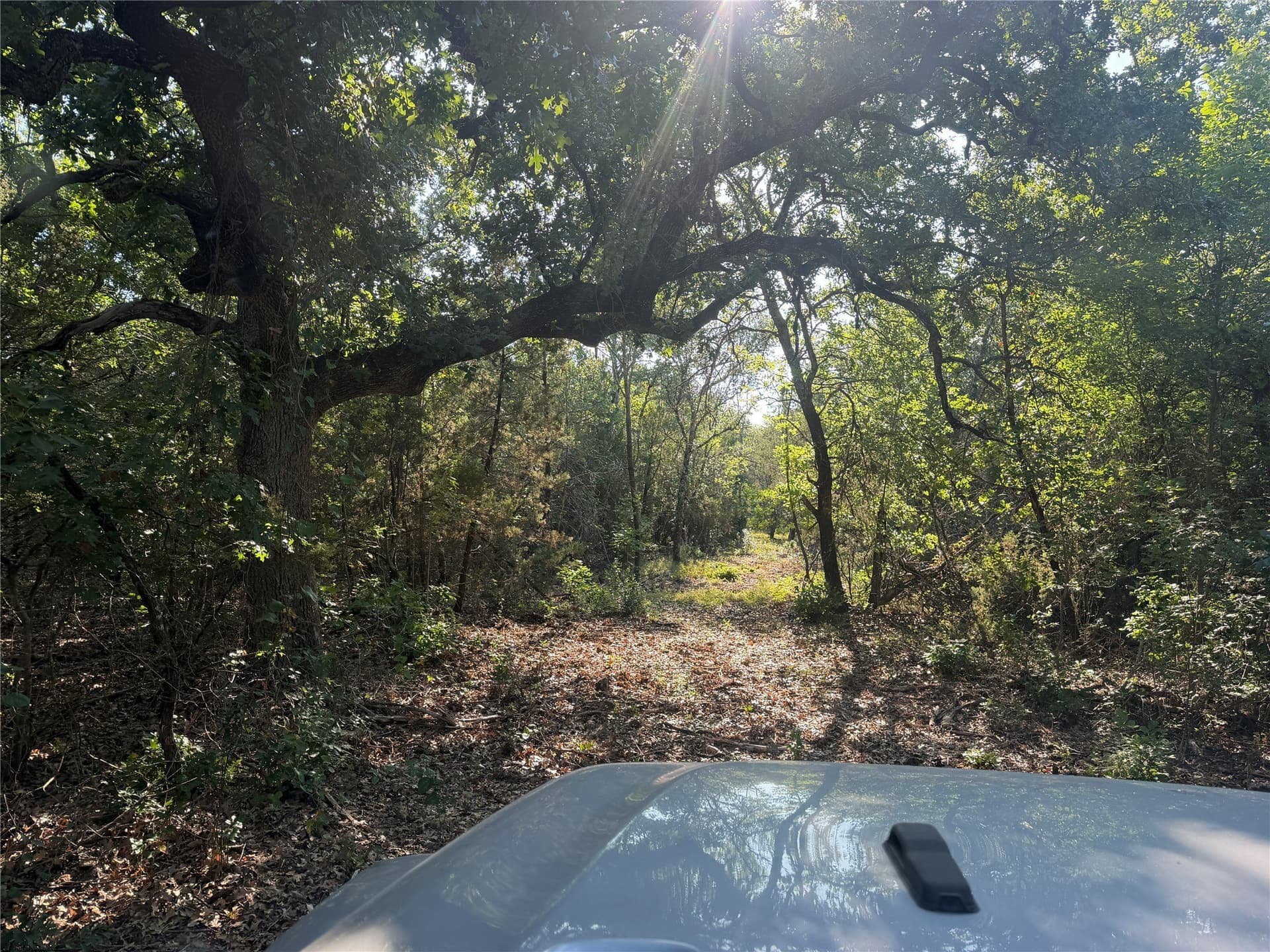 10.09 acres in Bosque County - photo 23
