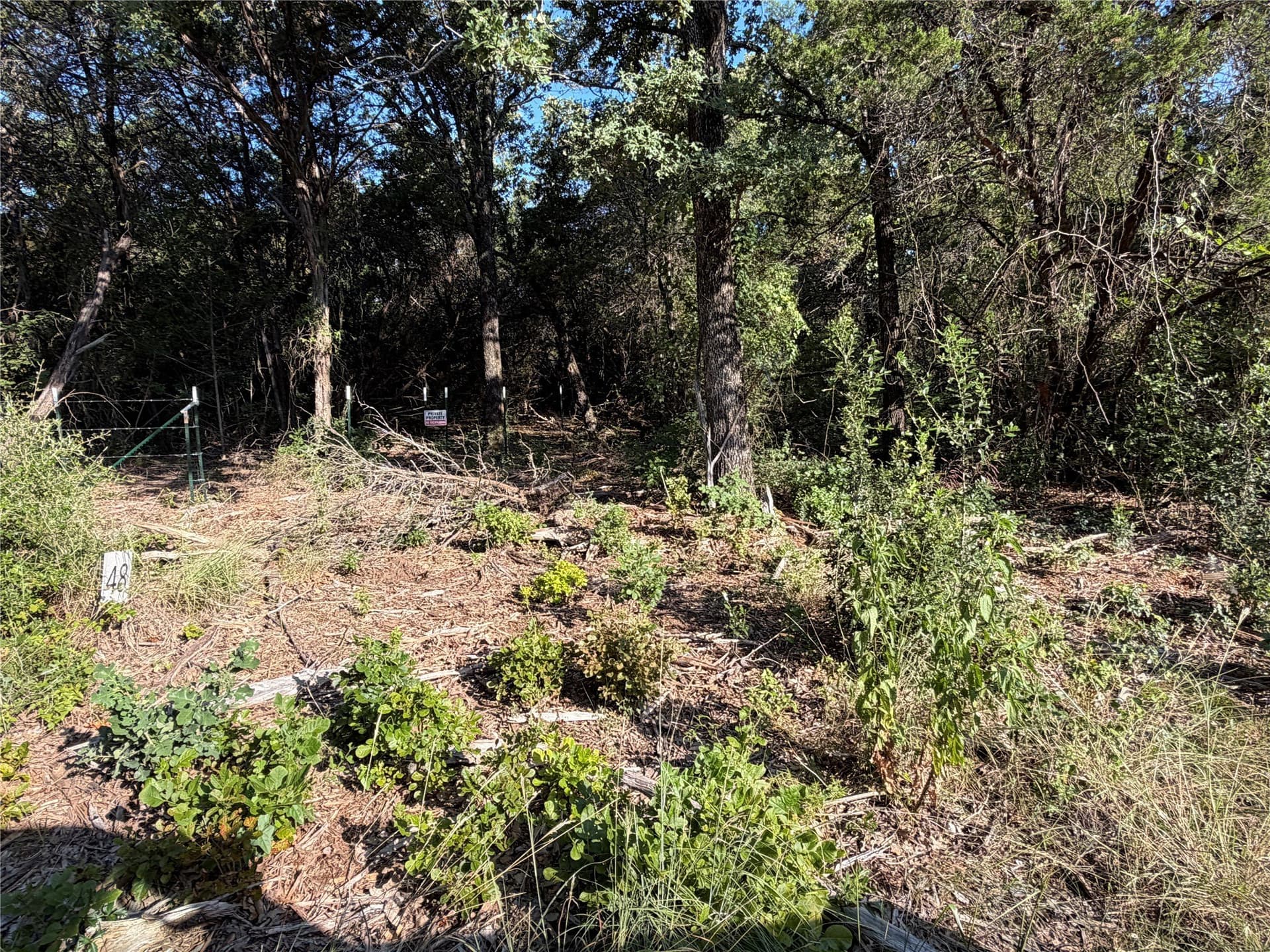 10.09 acres in Bosque County - photo 6