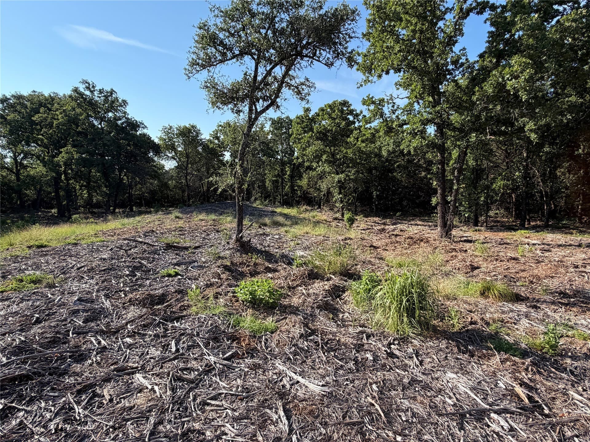 10.09 acres in Bosque County - photo 18