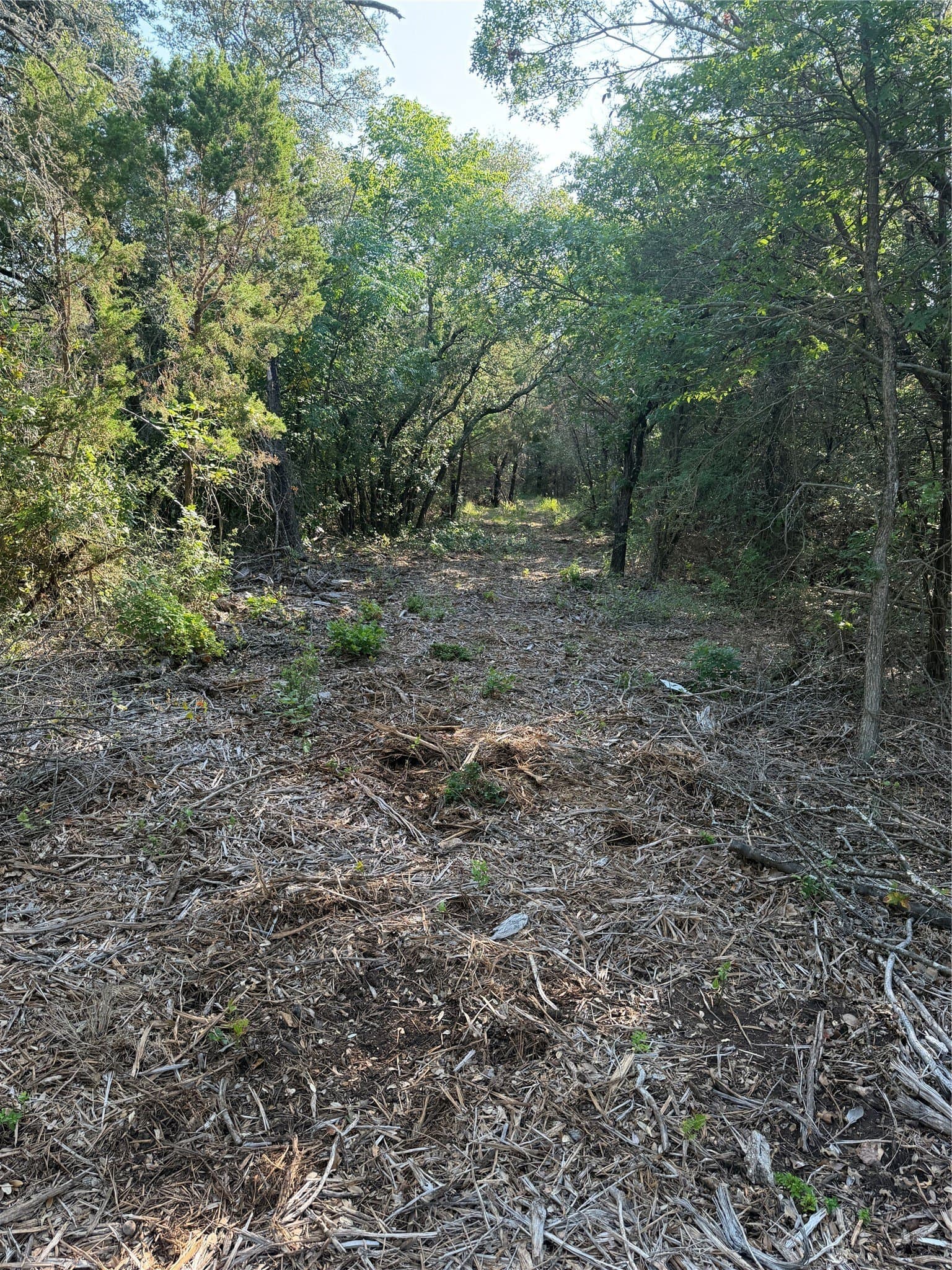 10.09 acres in Bosque County - photo 11