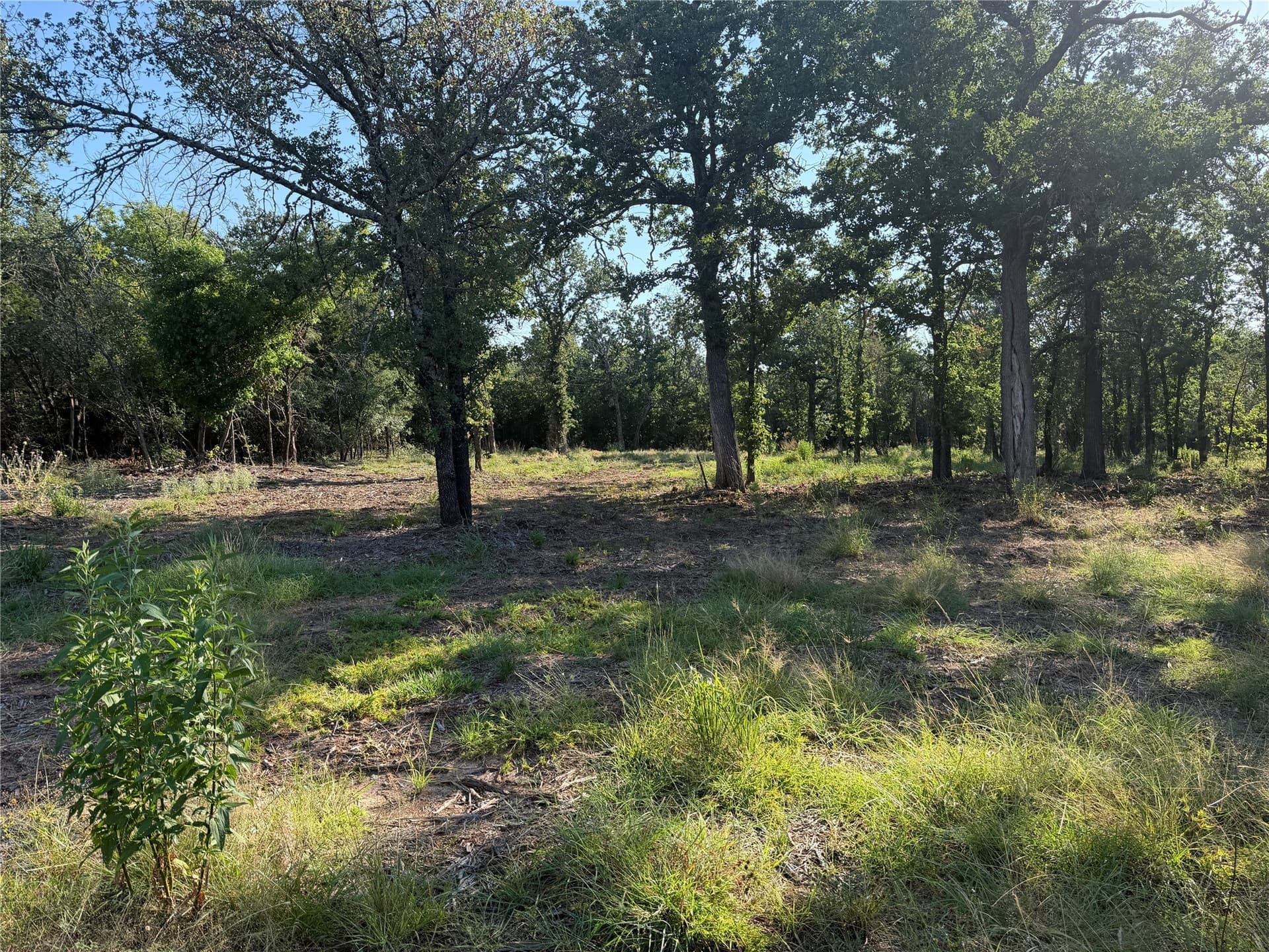 10.09 acres in Bosque County - photo 14