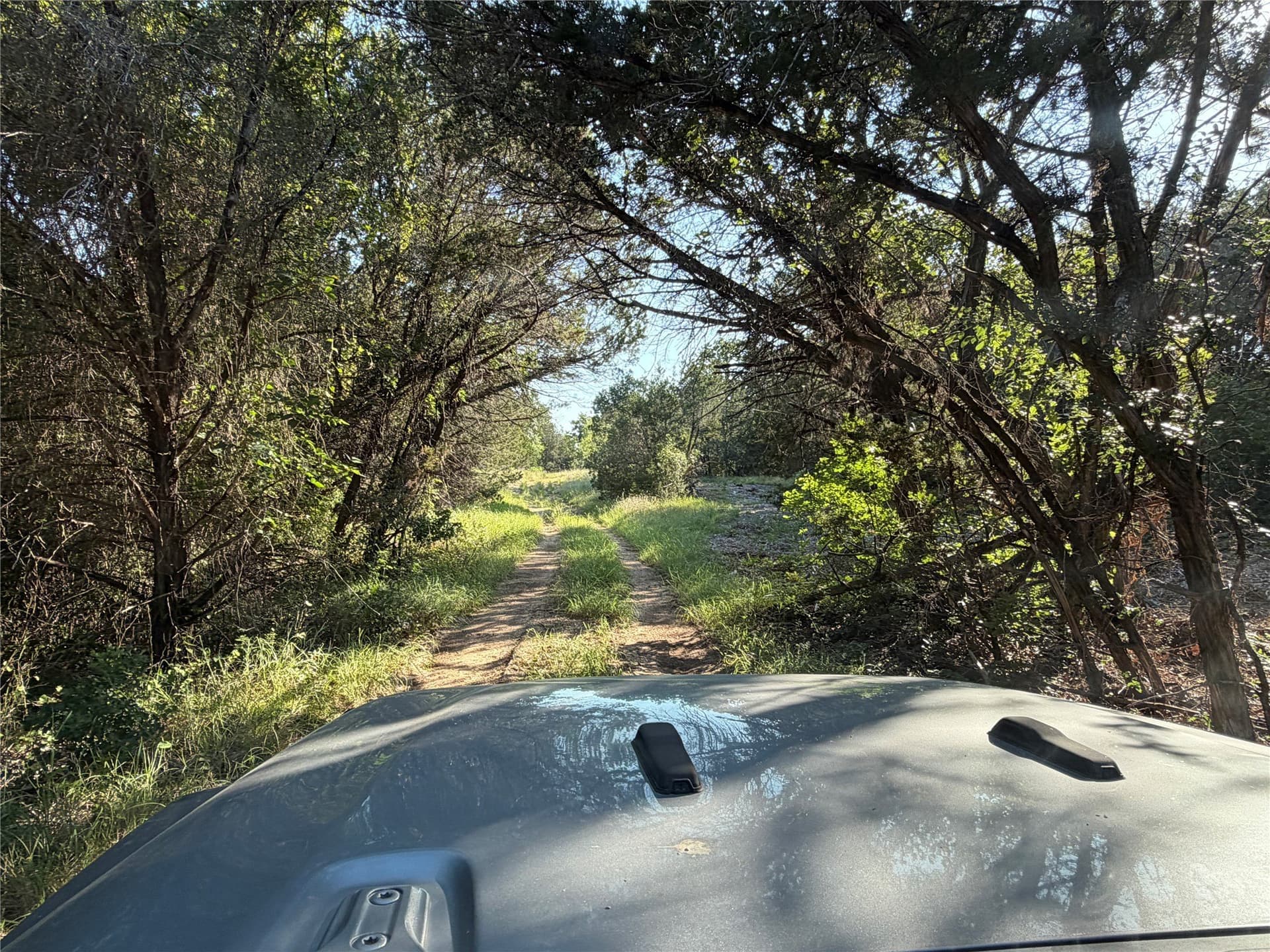 10.09 acres in Bosque County - photo 2
