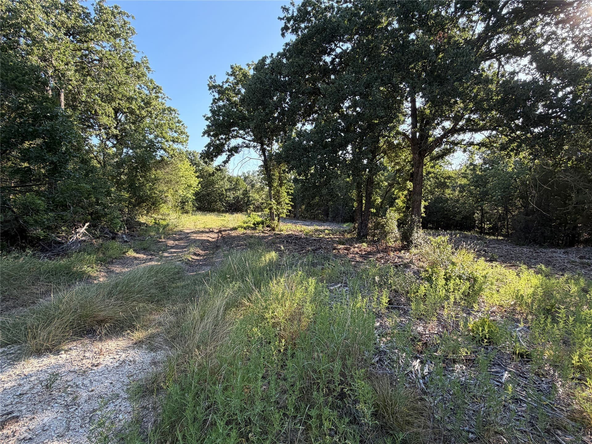10.09 acres in Bosque County - photo 5