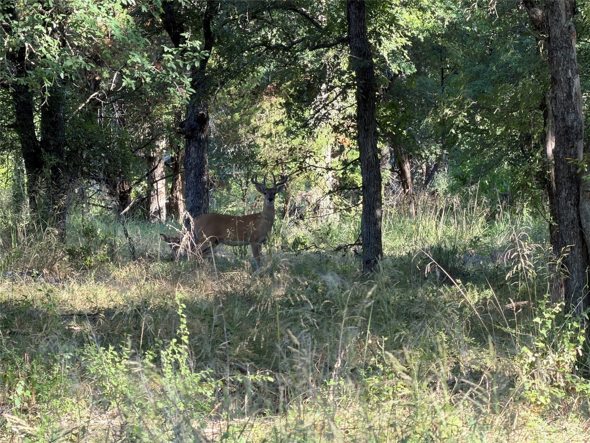 10.09 acres in Bosque County - photo 28