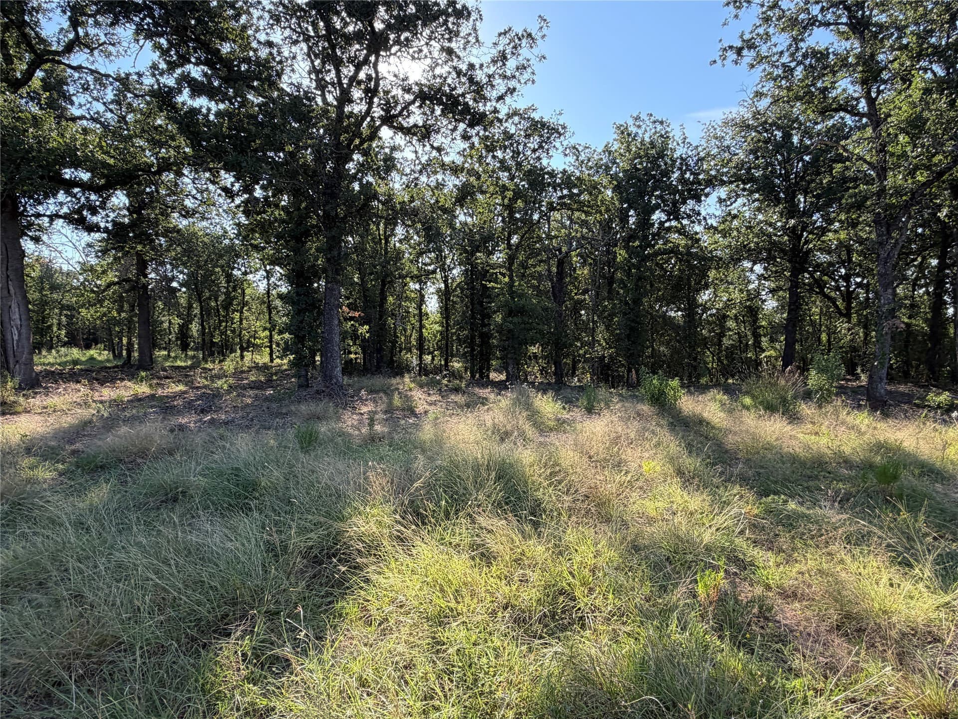 10.09 acres in Bosque County