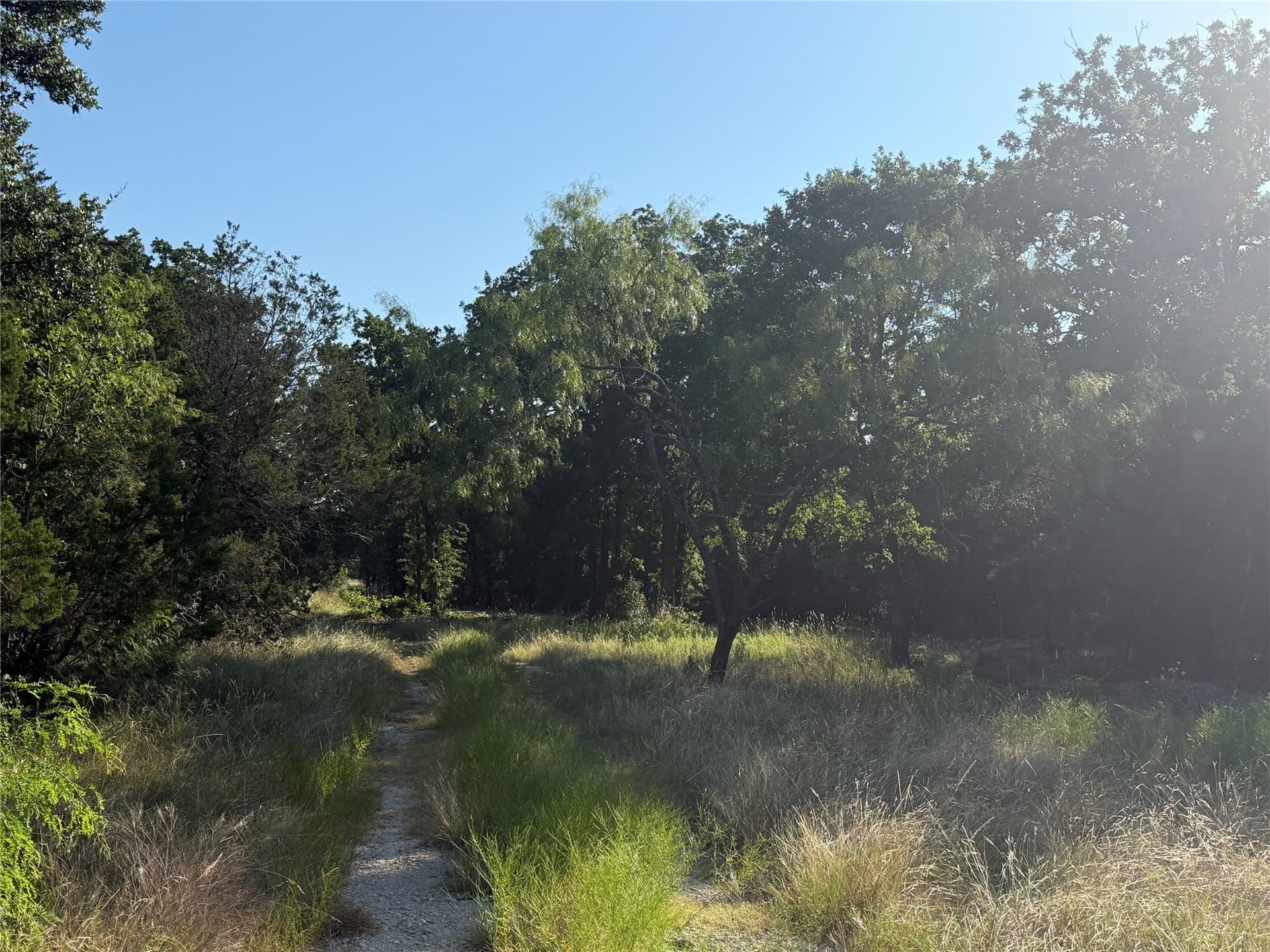 10.09 acres in Bosque County - photo 4