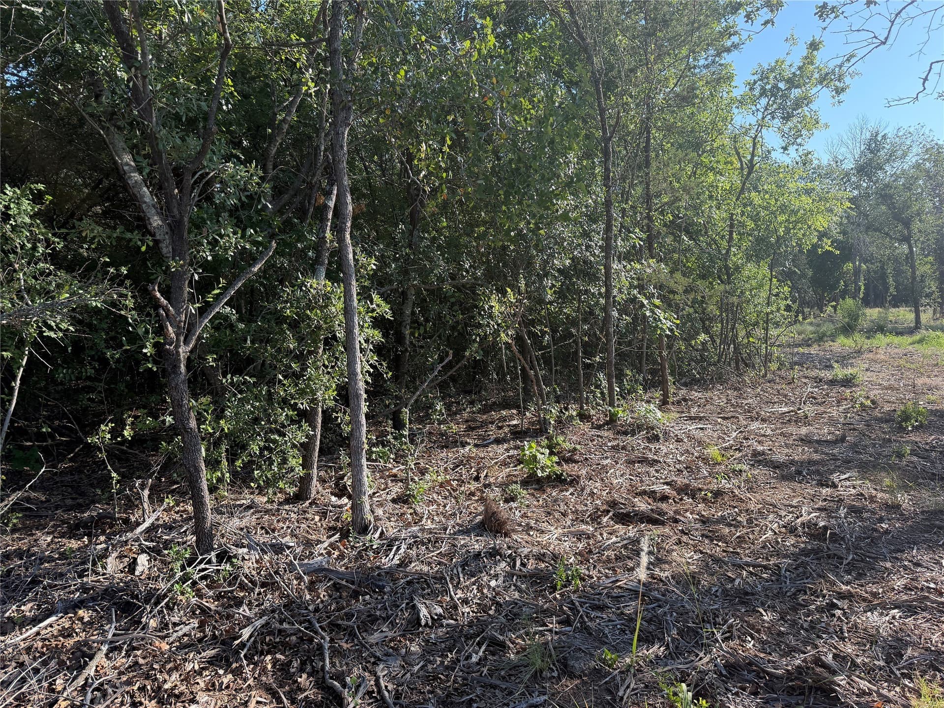 10.09 acres in Bosque County - photo 13
