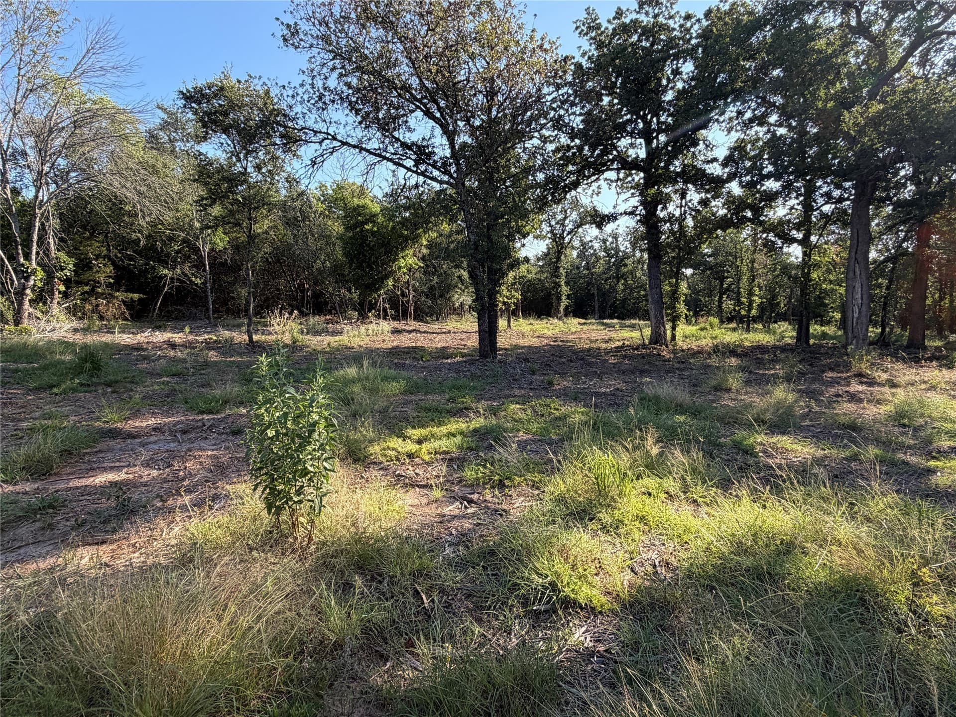 10.09 acres in Bosque County - photo 15